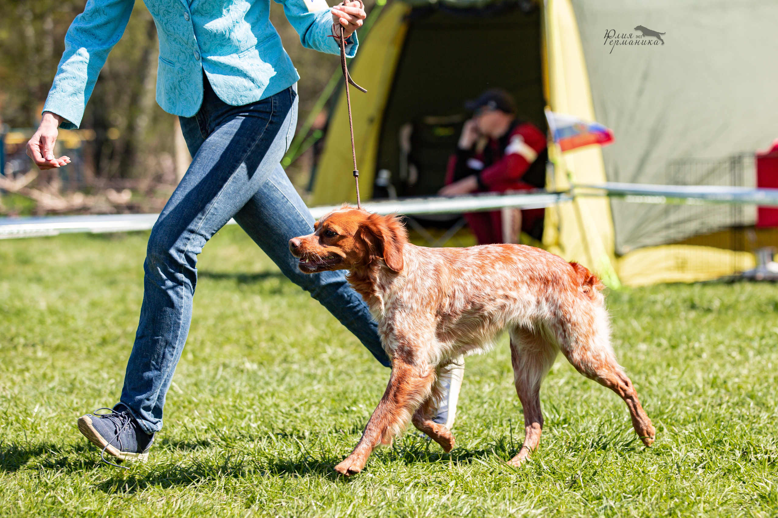 Пушкино 2хЧРКФ 14 мая 2022. Фотограф-анималист Юлия Германика
