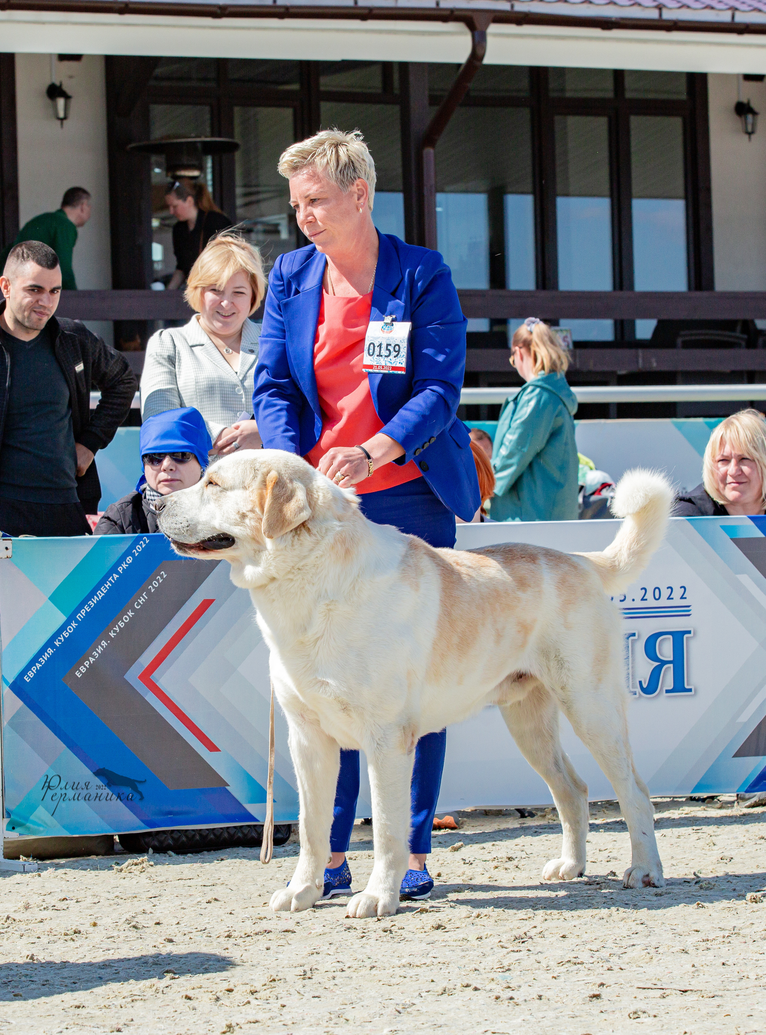 Евразия 21-22 мая 2022. Фотограф-анималист Юлия Германика