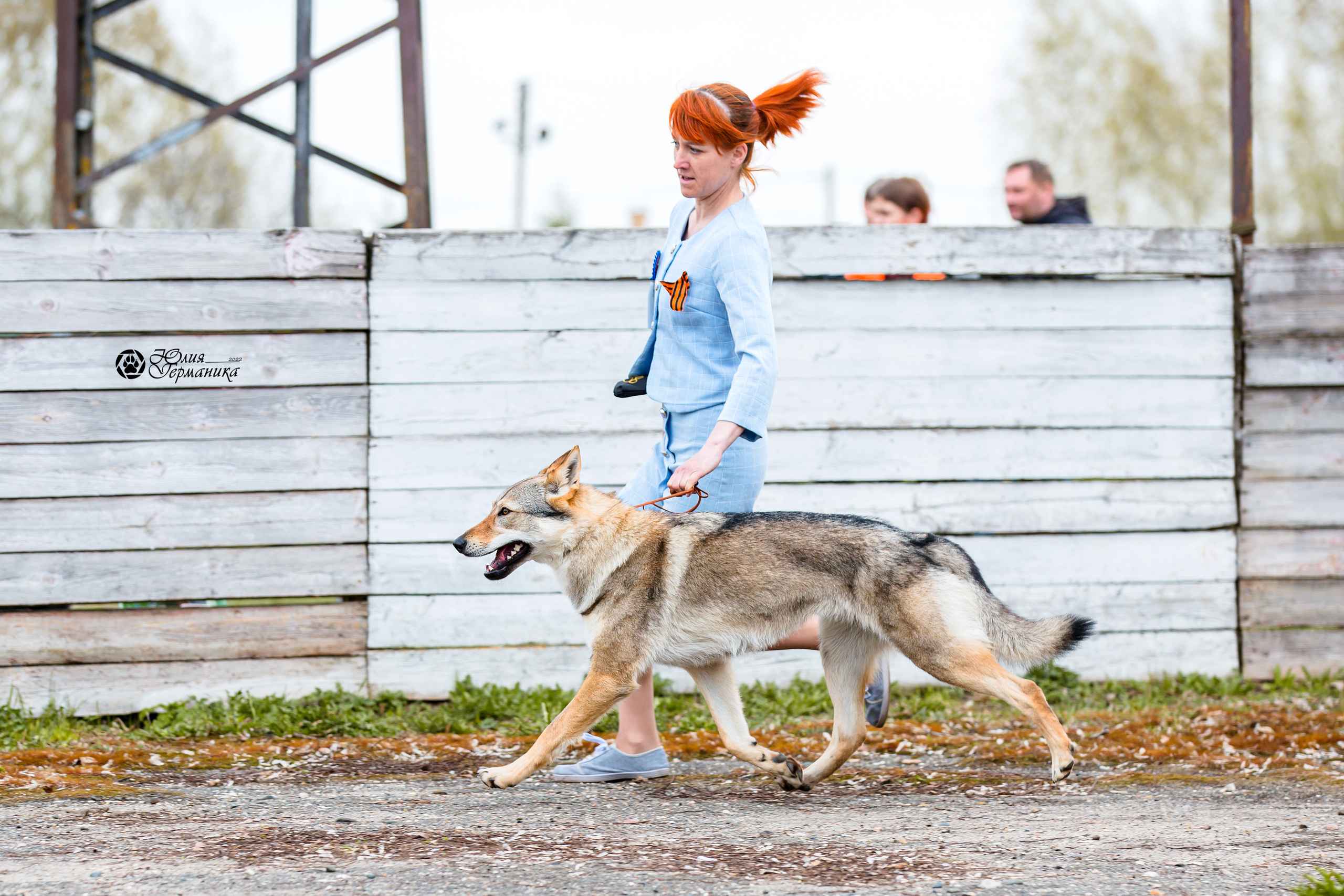 Александров 2хСАС 8 мая 2022. Фотограф-анималист Юлия Германика