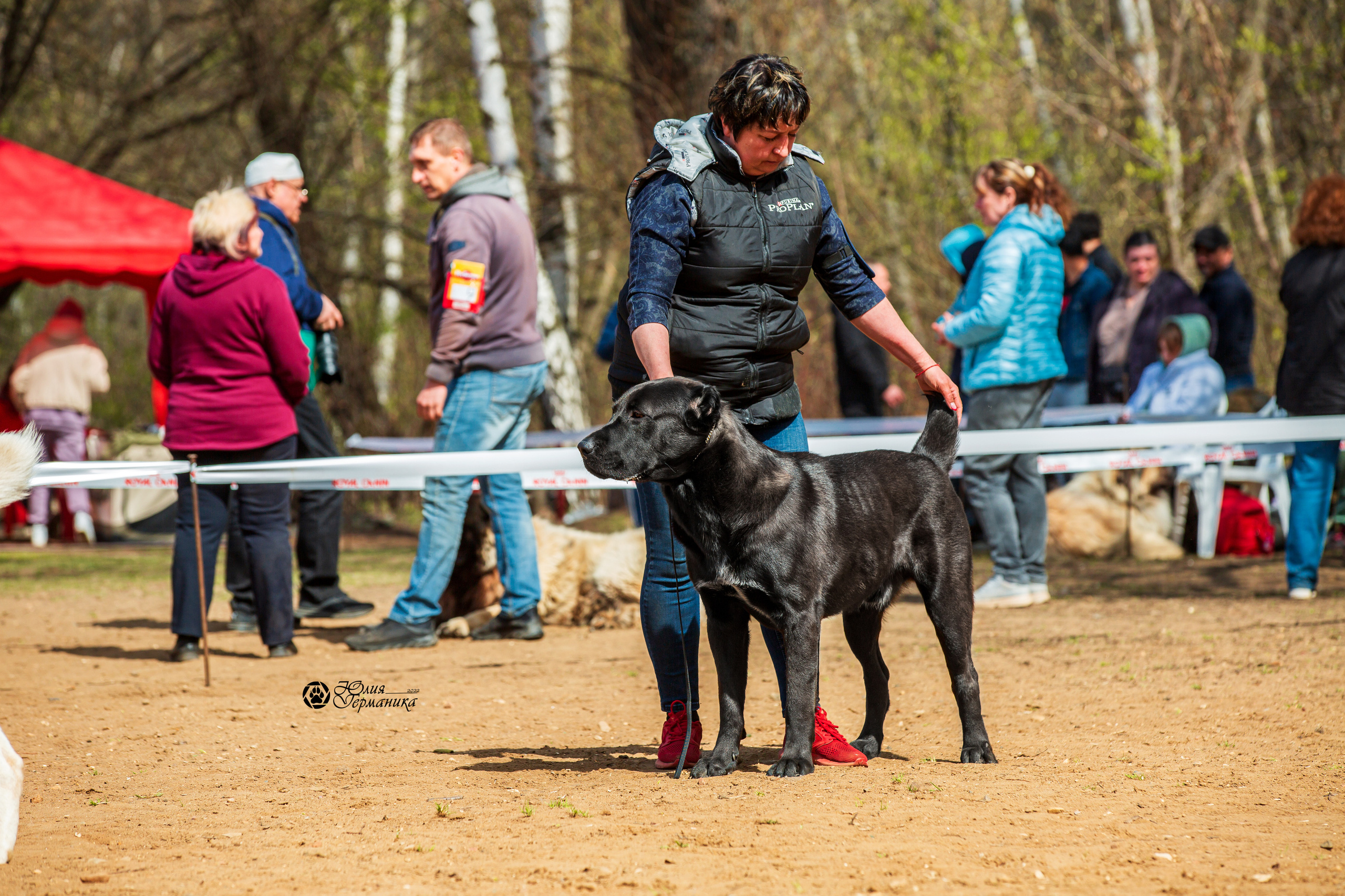 Сокольники 1 мая 2022. Фотограф-анималист Юлия Германика