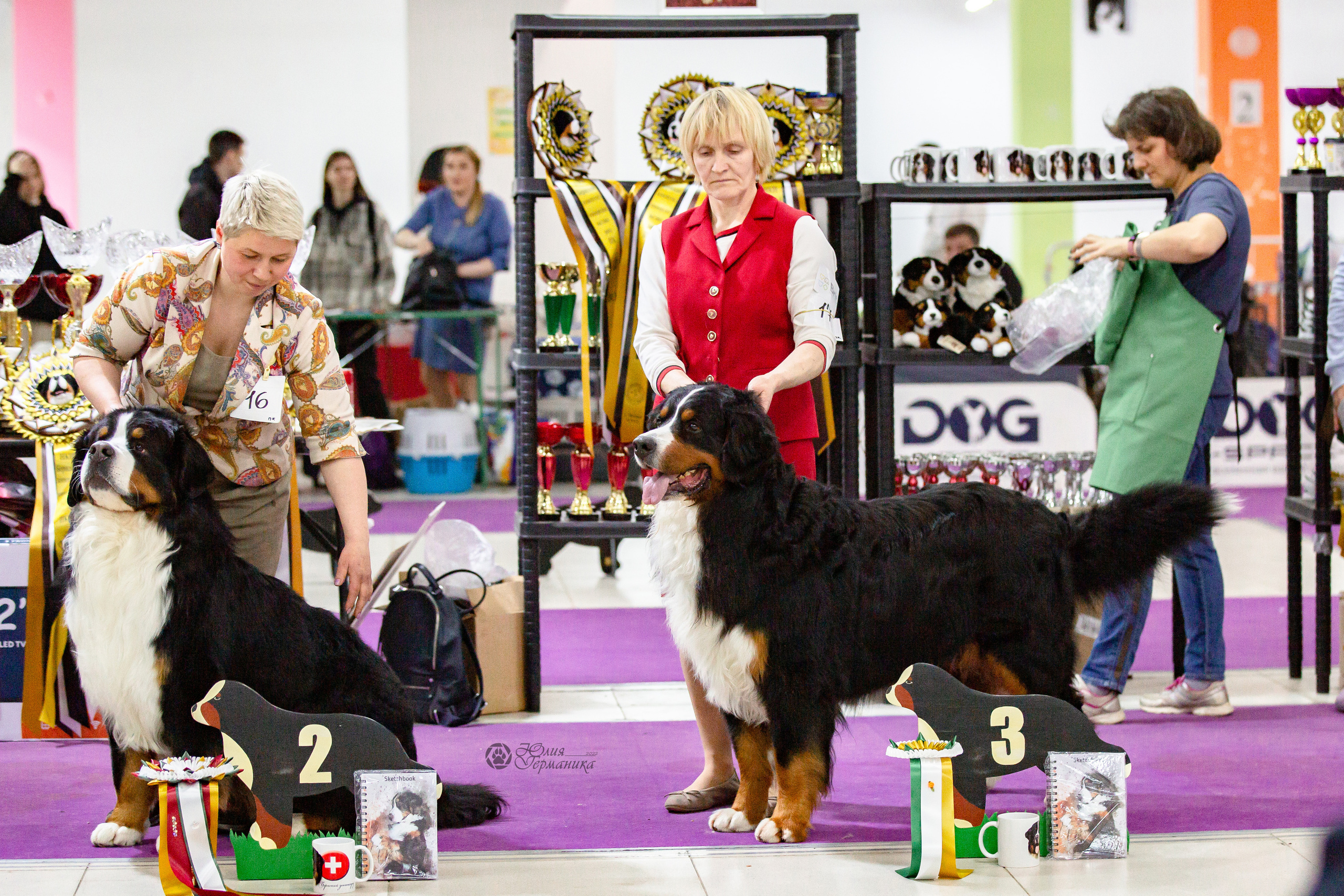 Чайна-Таун 16-17 апреля 2022. Фотограф-анималист Юлия Германика