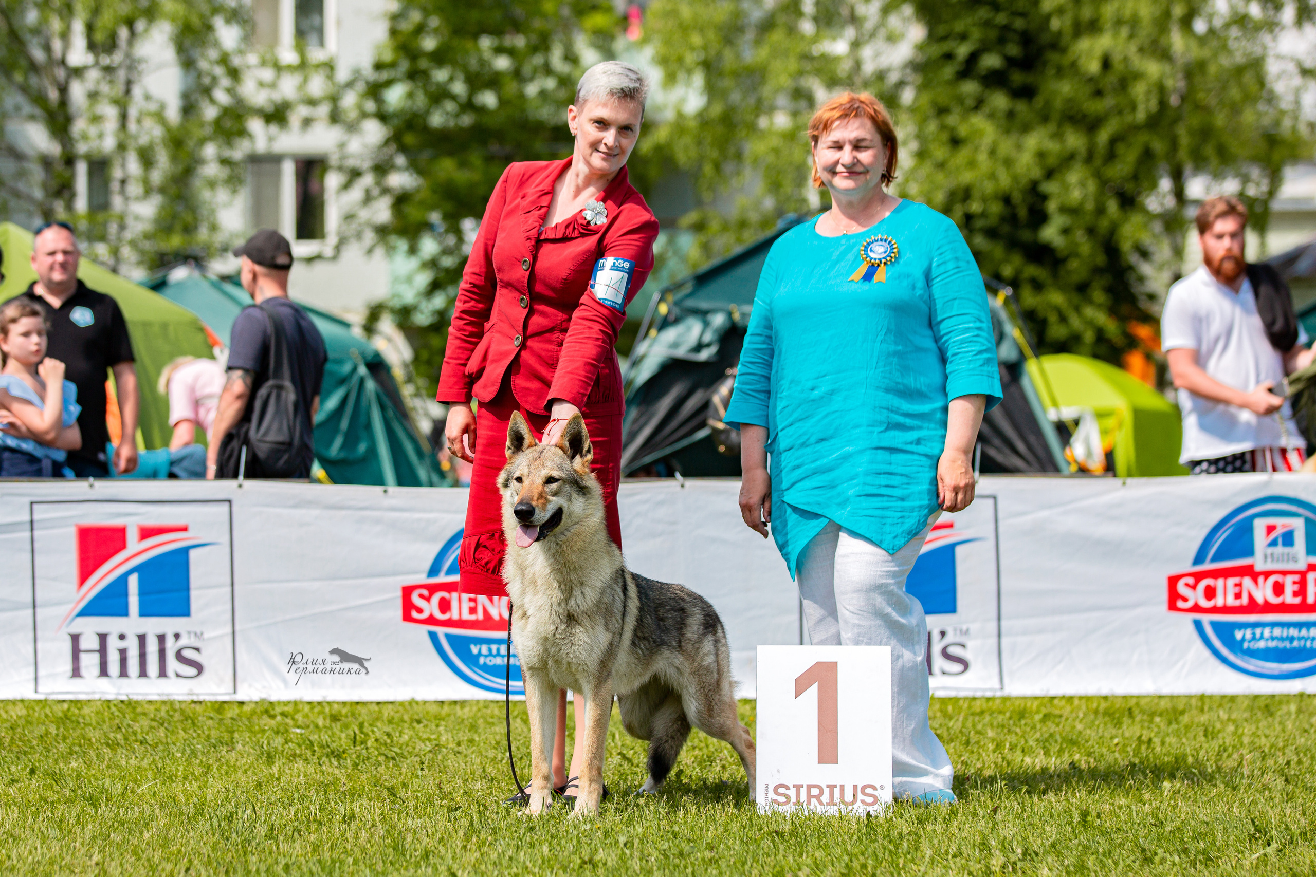 Смоленск 12.06,   Ховрино 13.06,    Питер 18.06 2022. Фотограф-анималист Юлия Германика