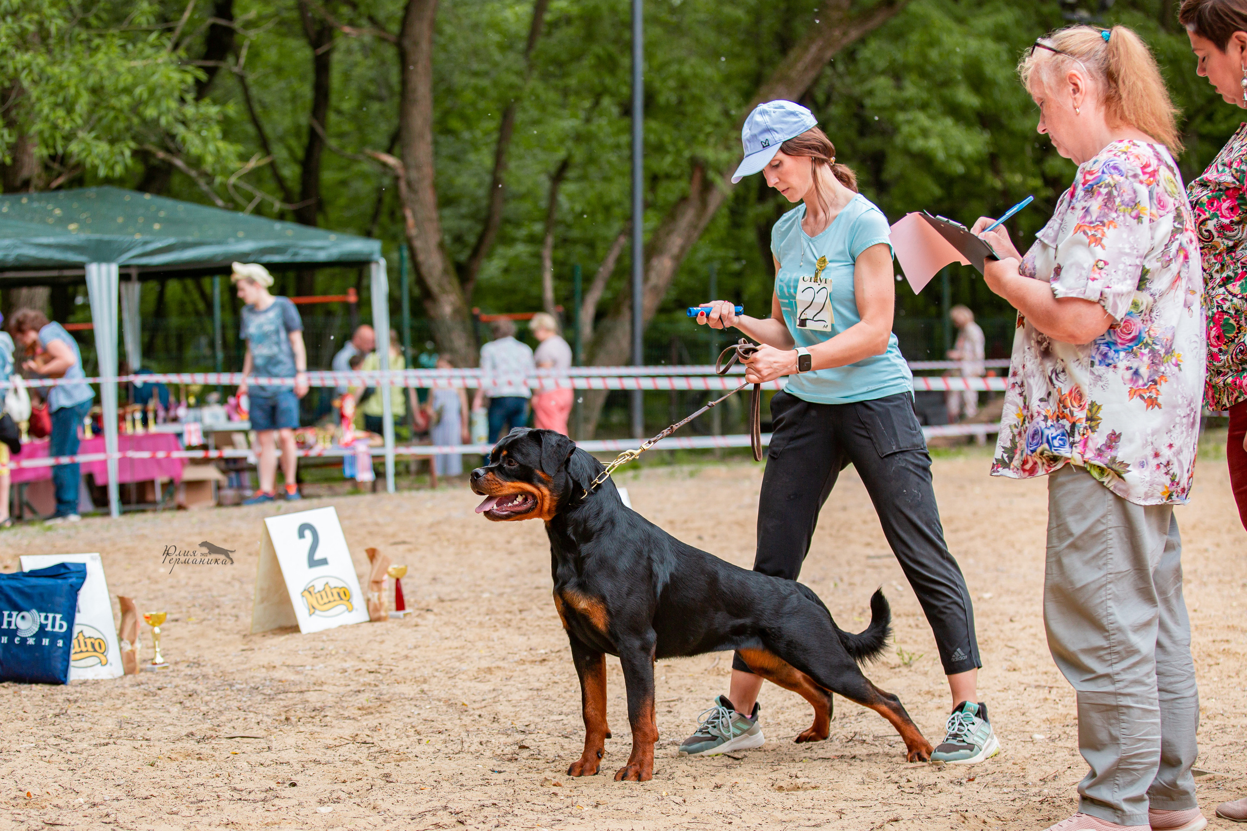 Смоленск 12.06,   Ховрино 13.06,    Питер 18.06 2022. Фотограф-анималист Юлия Германика