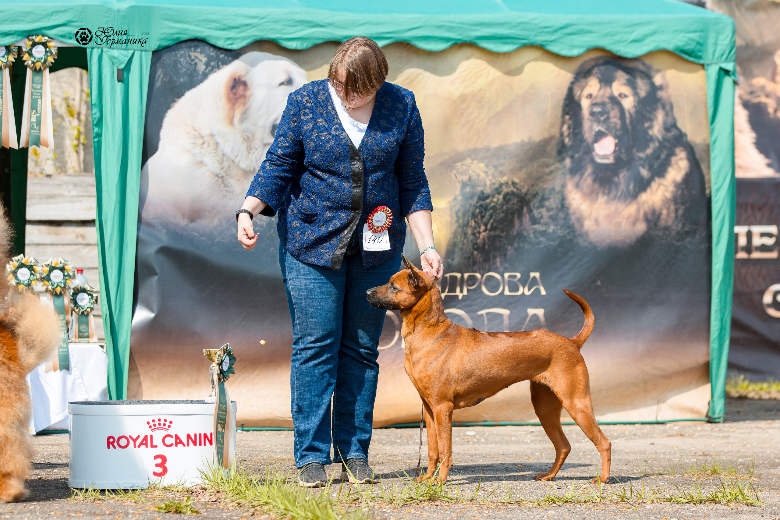 Александров 2хСАС 8 мая 2022. Фотограф-анималист Юлия Германика
