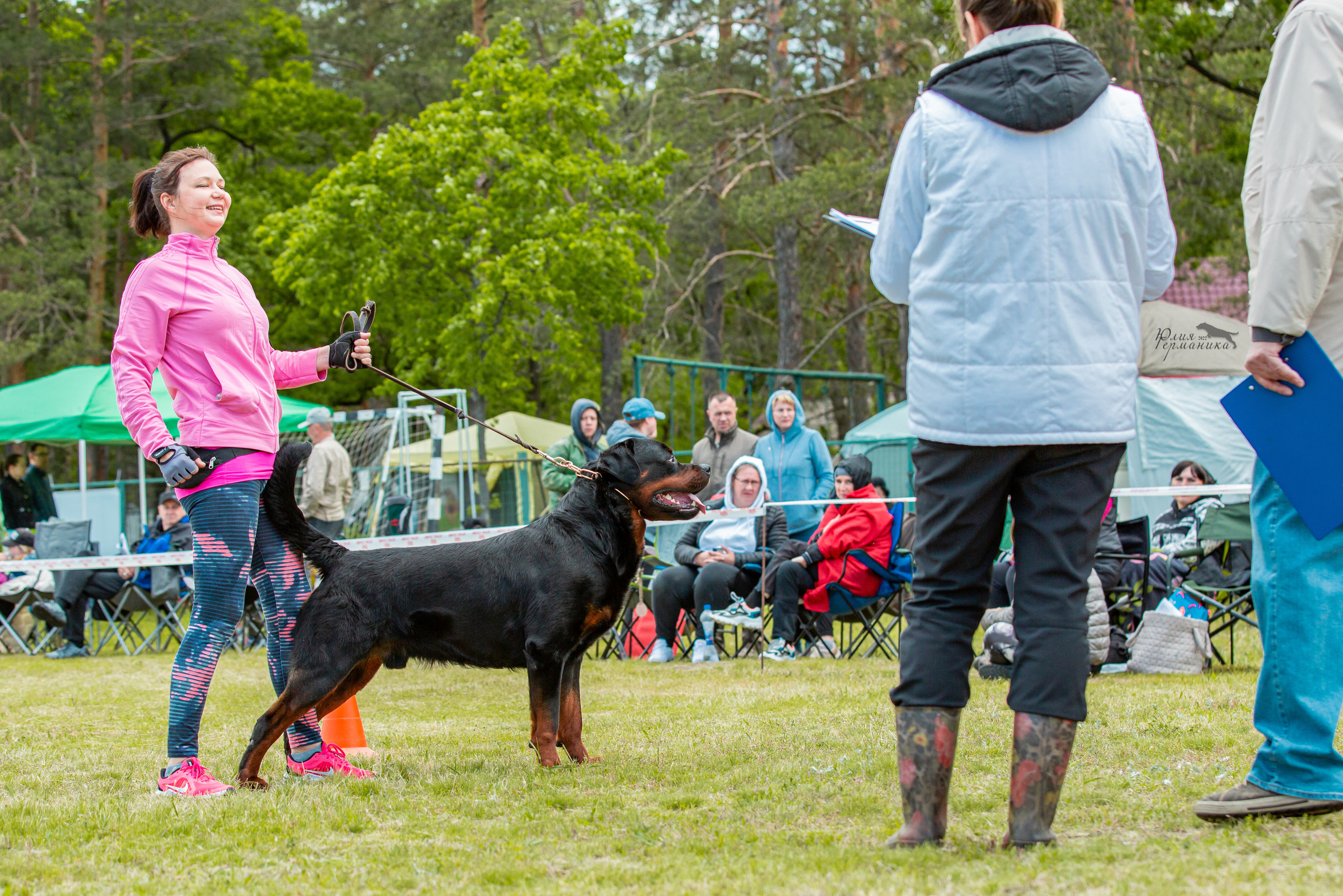 Воронеж моно ротвейлеров 28-29 мая 2022. Фотограф-анималист Юлия Германика