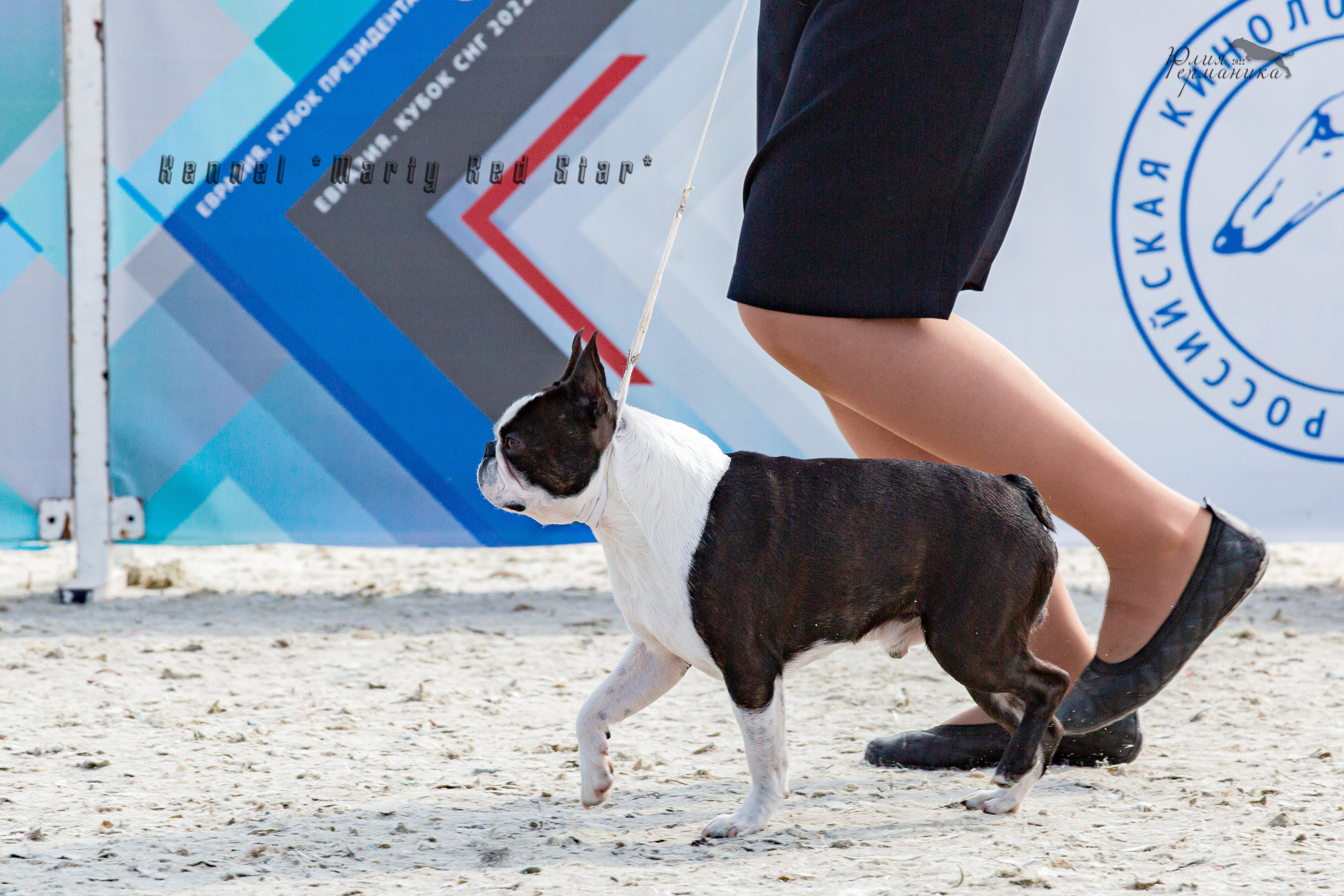 Евразия 21-22 мая 2022. Фотограф-анималист Юлия Германика