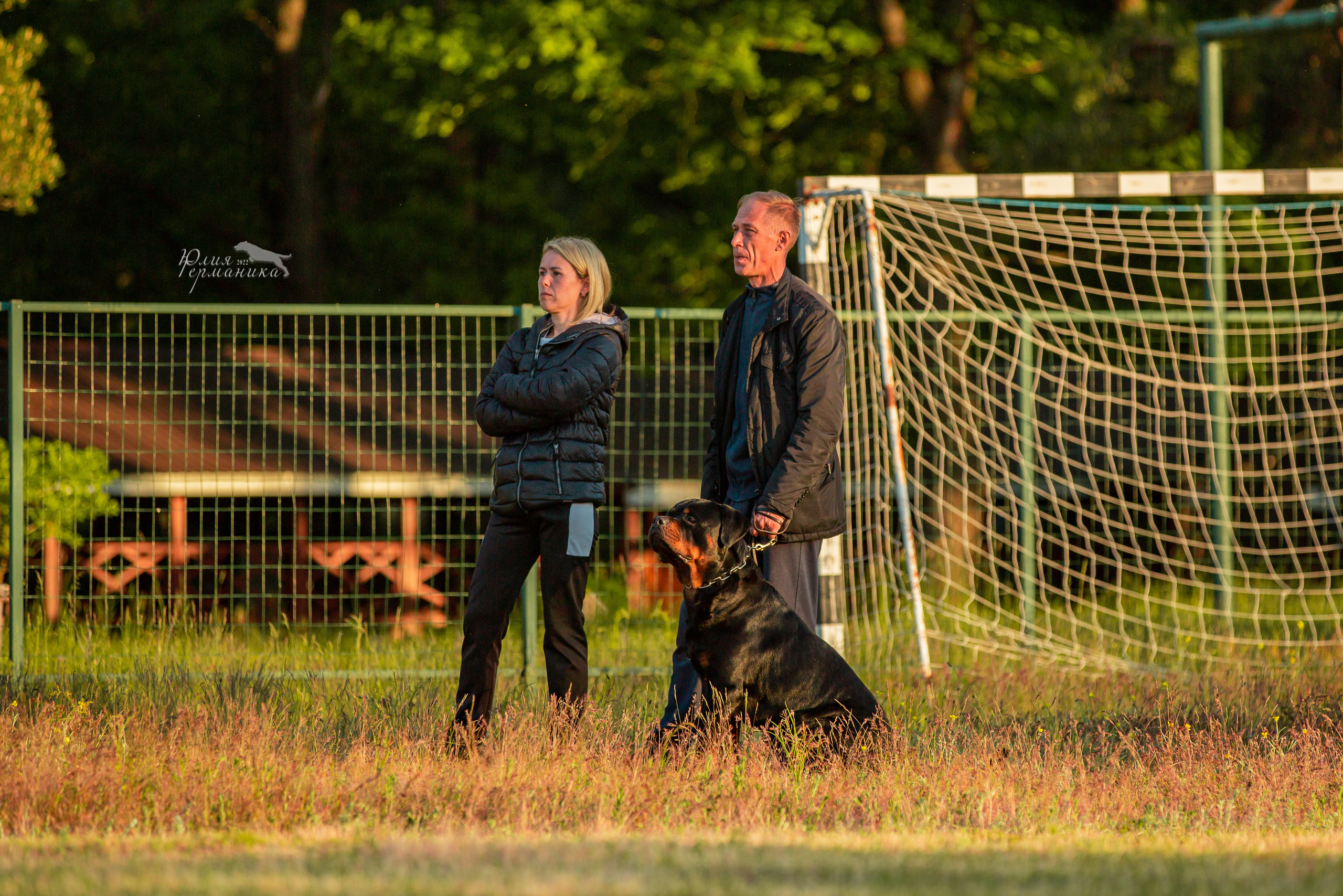 Воронеж моно ротвейлеров 28-29 мая 2022. Фотограф-анималист Юлия Германика