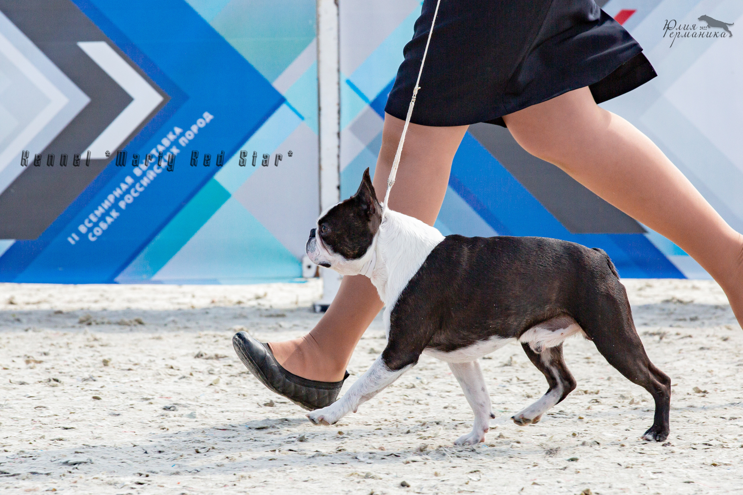 Евразия 21-22 мая 2022. Фотограф-анималист Юлия Германика