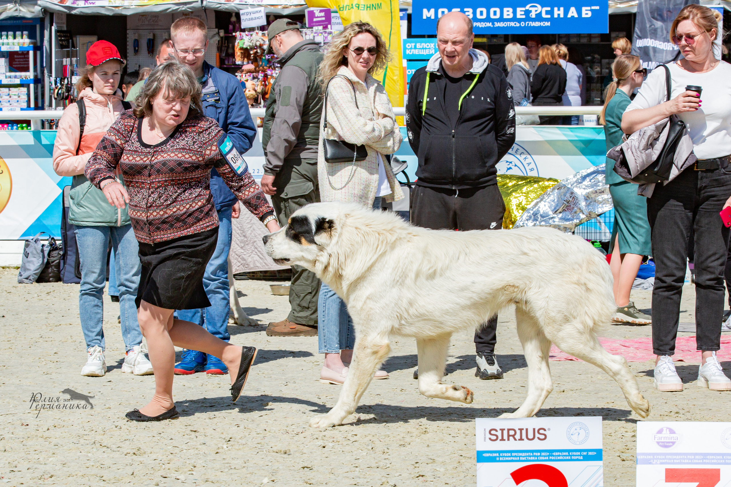 Евразия 21-22 мая 2022. Фотограф-анималист Юлия Германика