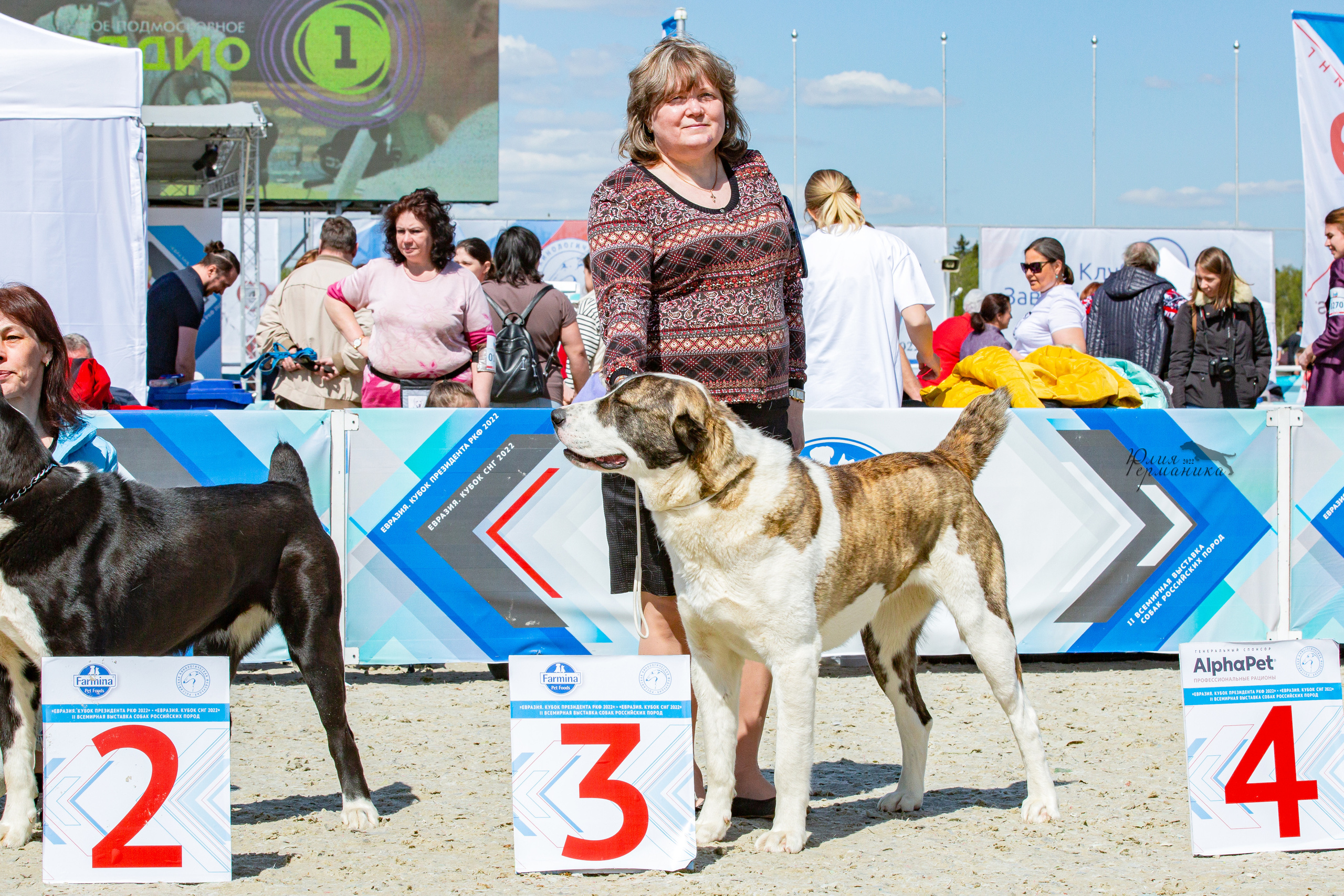 Евразия 21-22 мая 2022. Фотограф-анималист Юлия Германика