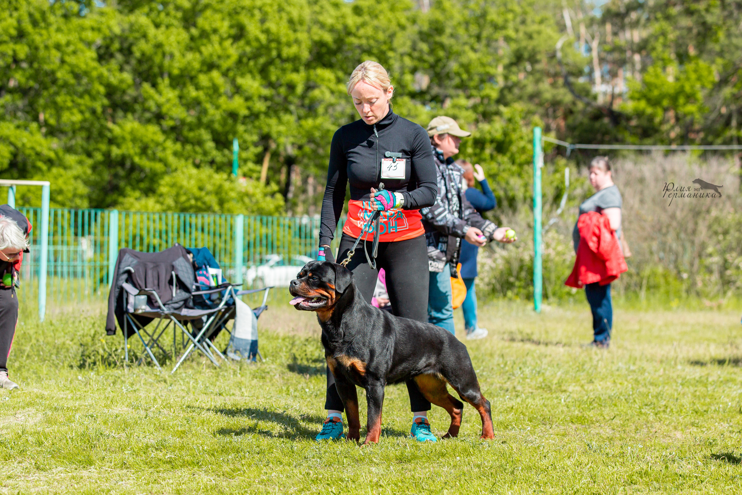 Воронеж моно ротвейлеров 28-29 мая 2022. Фотограф-анималист Юлия Германика