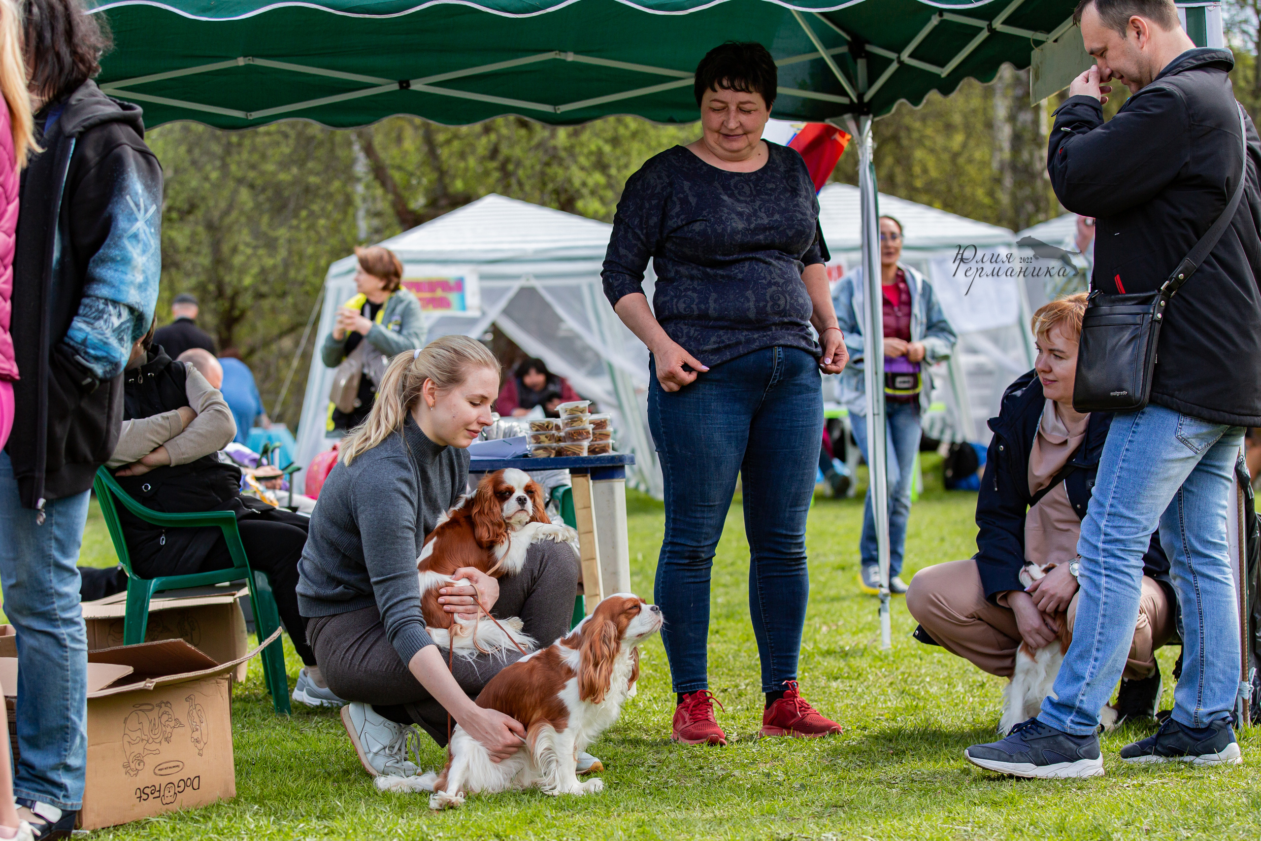 Пушкино 2хЧРКФ 14 мая 2022. Фотограф-анималист Юлия Германика