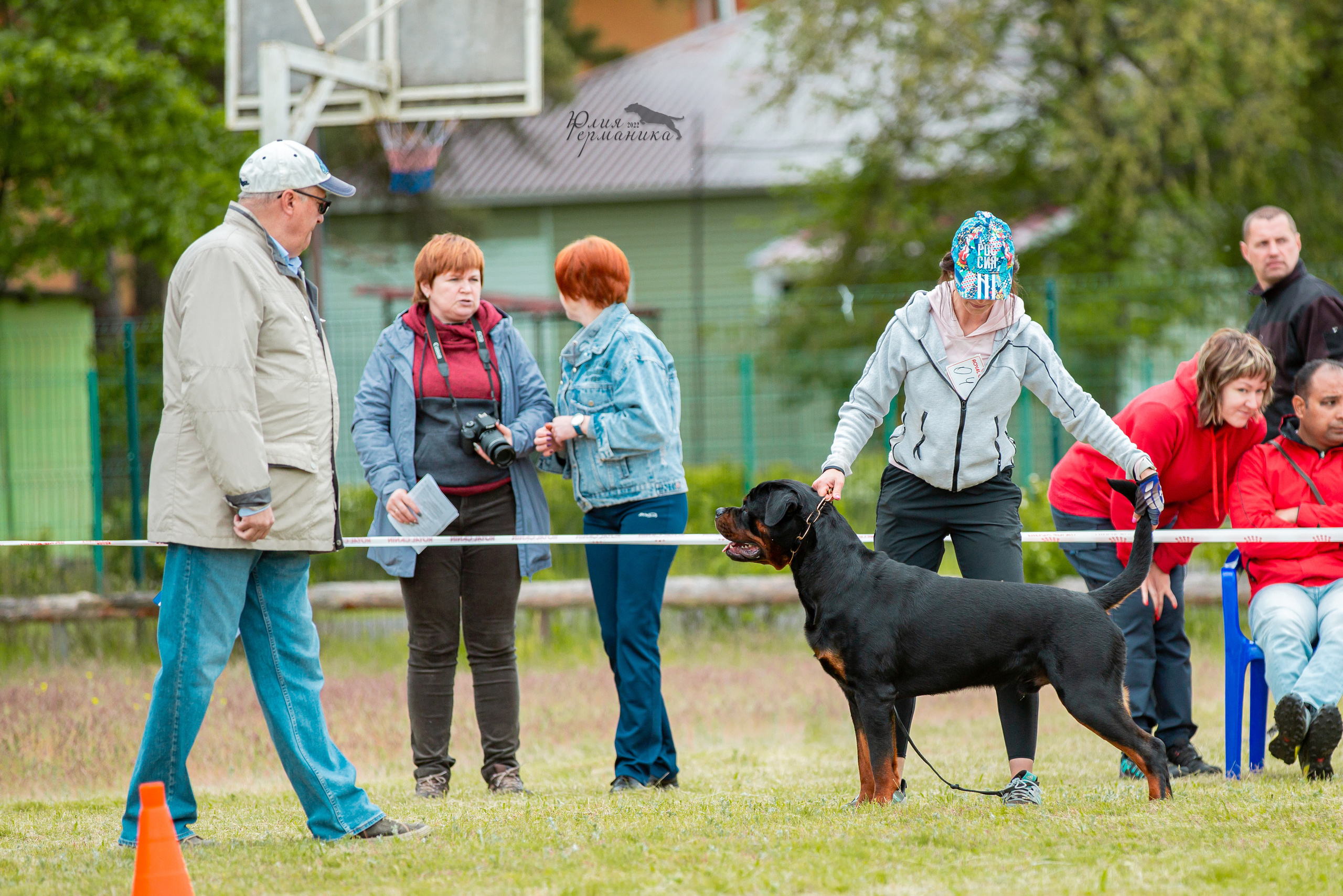 Воронеж моно ротвейлеров 28-29 мая 2022. Фотограф-анималист Юлия Германика