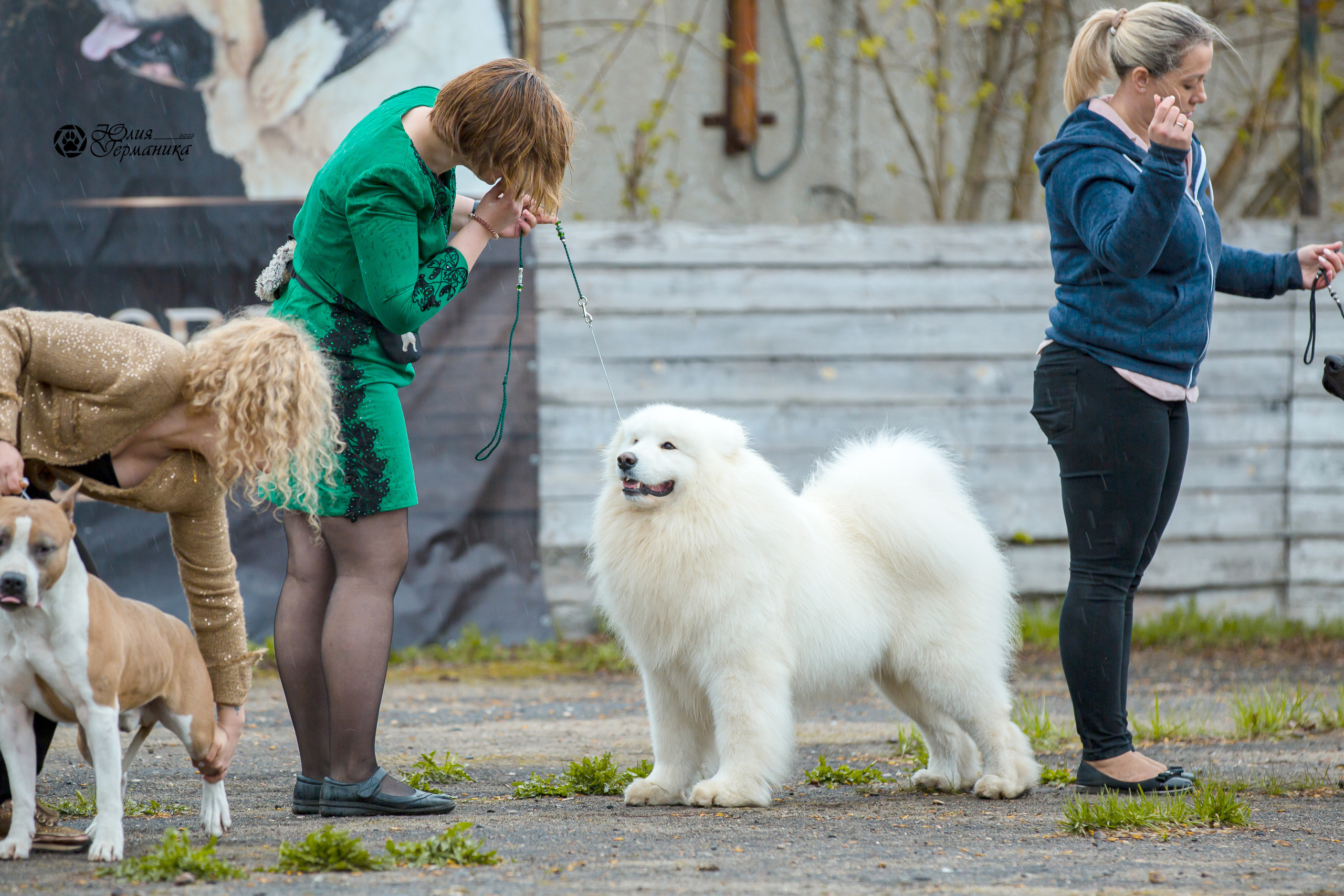 Александров 2хСАС 8 мая 2022. Фотограф-анималист Юлия Германика