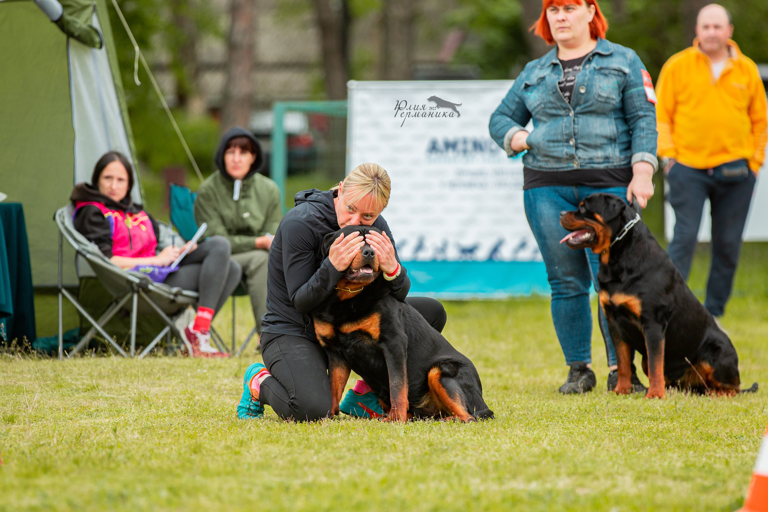 Воронеж моно ротвейлеров 28-29 мая 2022. Фотограф-анималист Юлия Германика