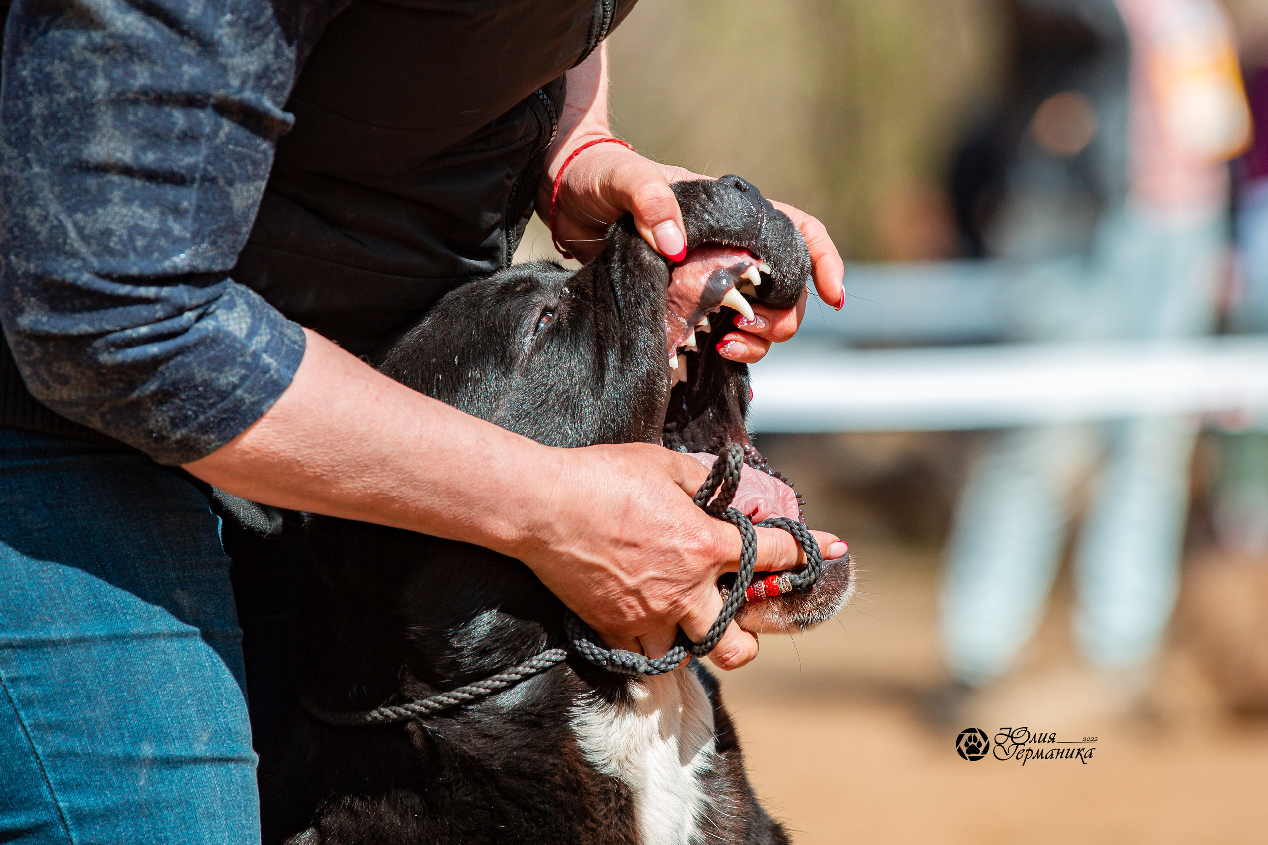 Сокольники 1 мая 2022. Фотограф-анималист Юлия Германика