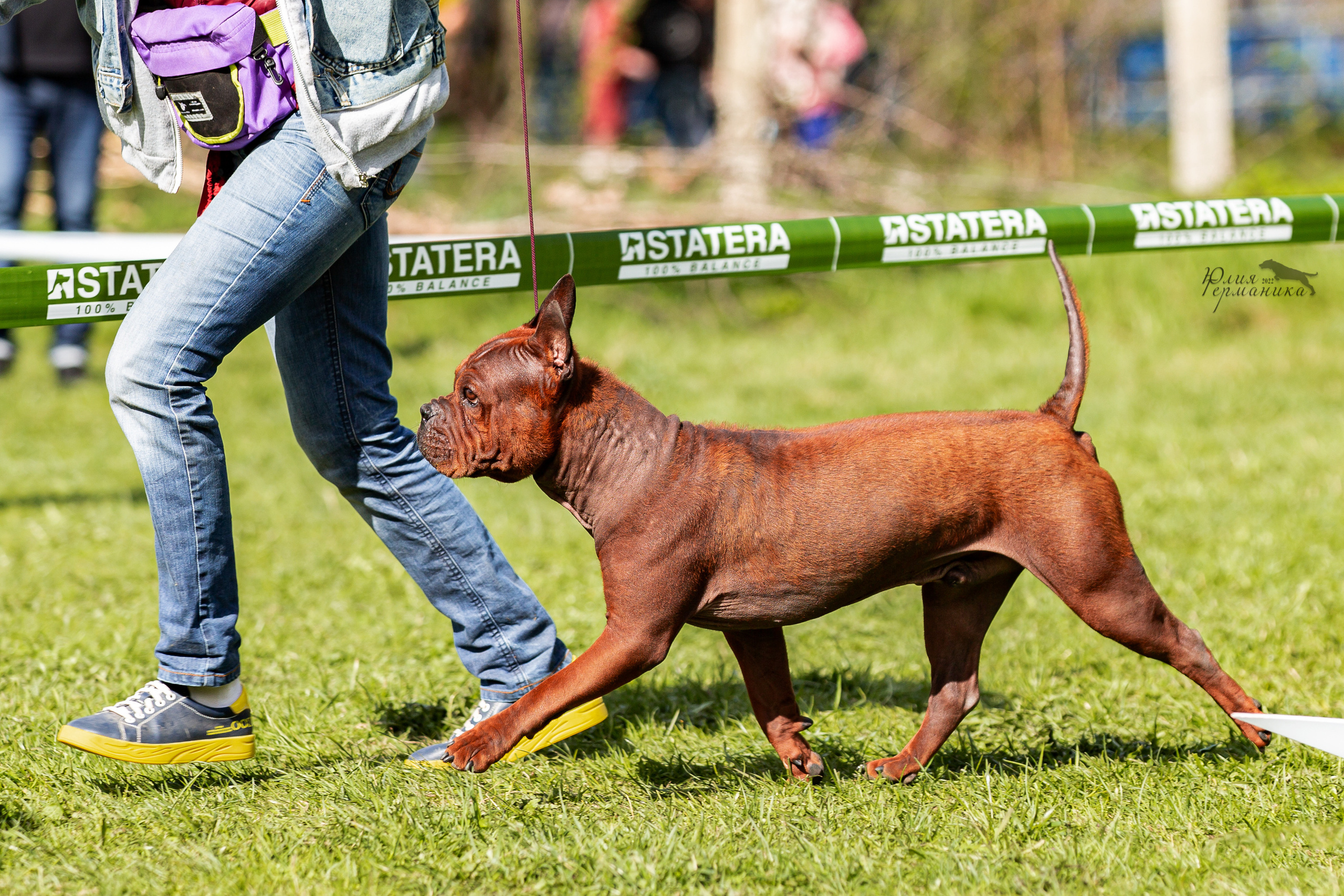Пушкино 2хЧРКФ 14 мая 2022. Фотограф-анималист Юлия Германика