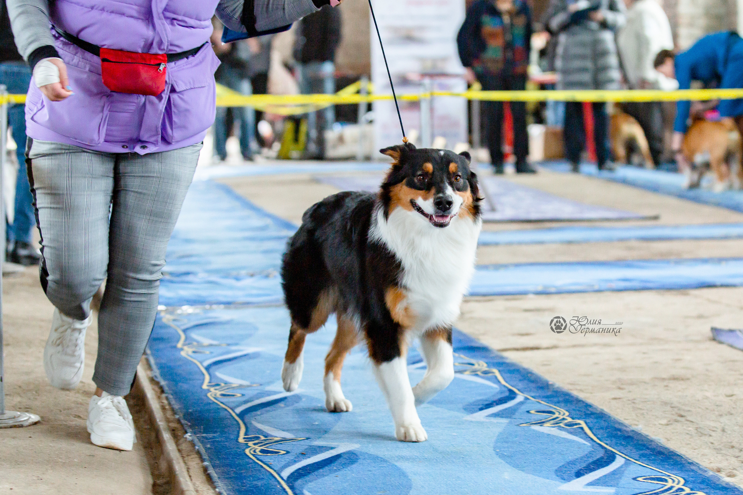 Сергиев Посад 23.04.2022. Фотограф-анималист Юлия Германика