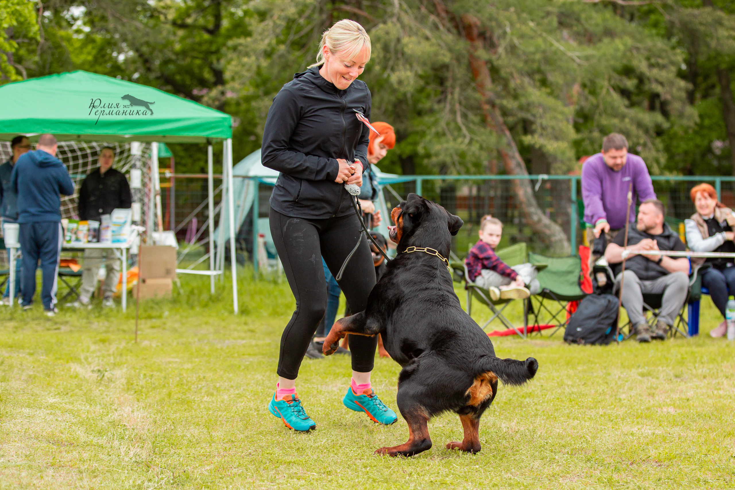 Воронеж моно ротвейлеров 28-29 мая 2022. Фотограф-анималист Юлия Германика