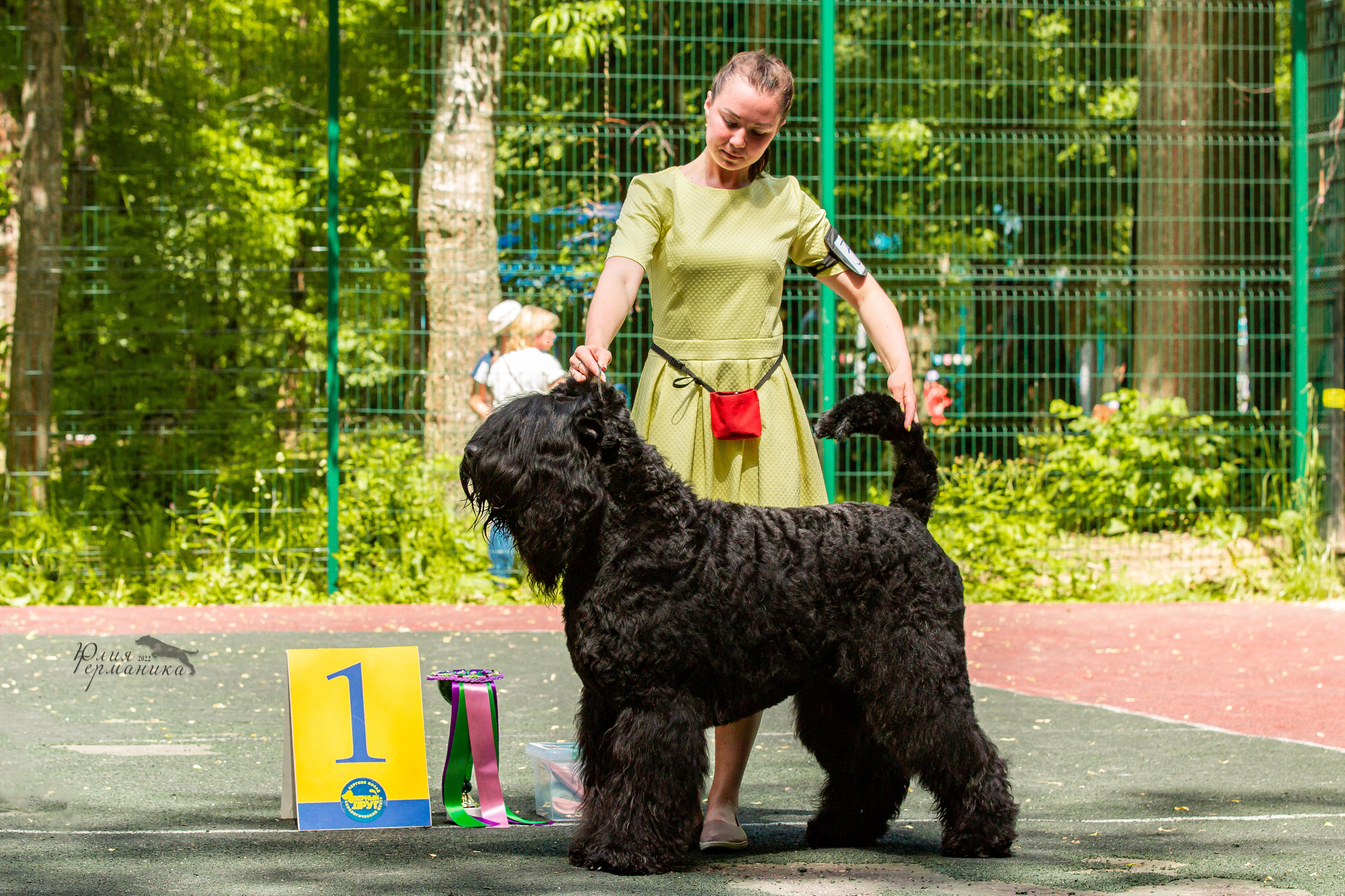 Сергиев Посад 2хСАС 25.06.2022. Фотограф-анималист Юлия Германика