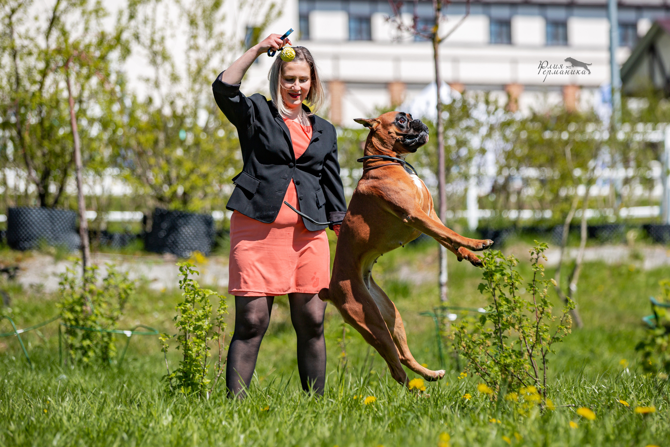 Евразия 21-22 мая 2022. Фотограф-анималист Юлия Германика
