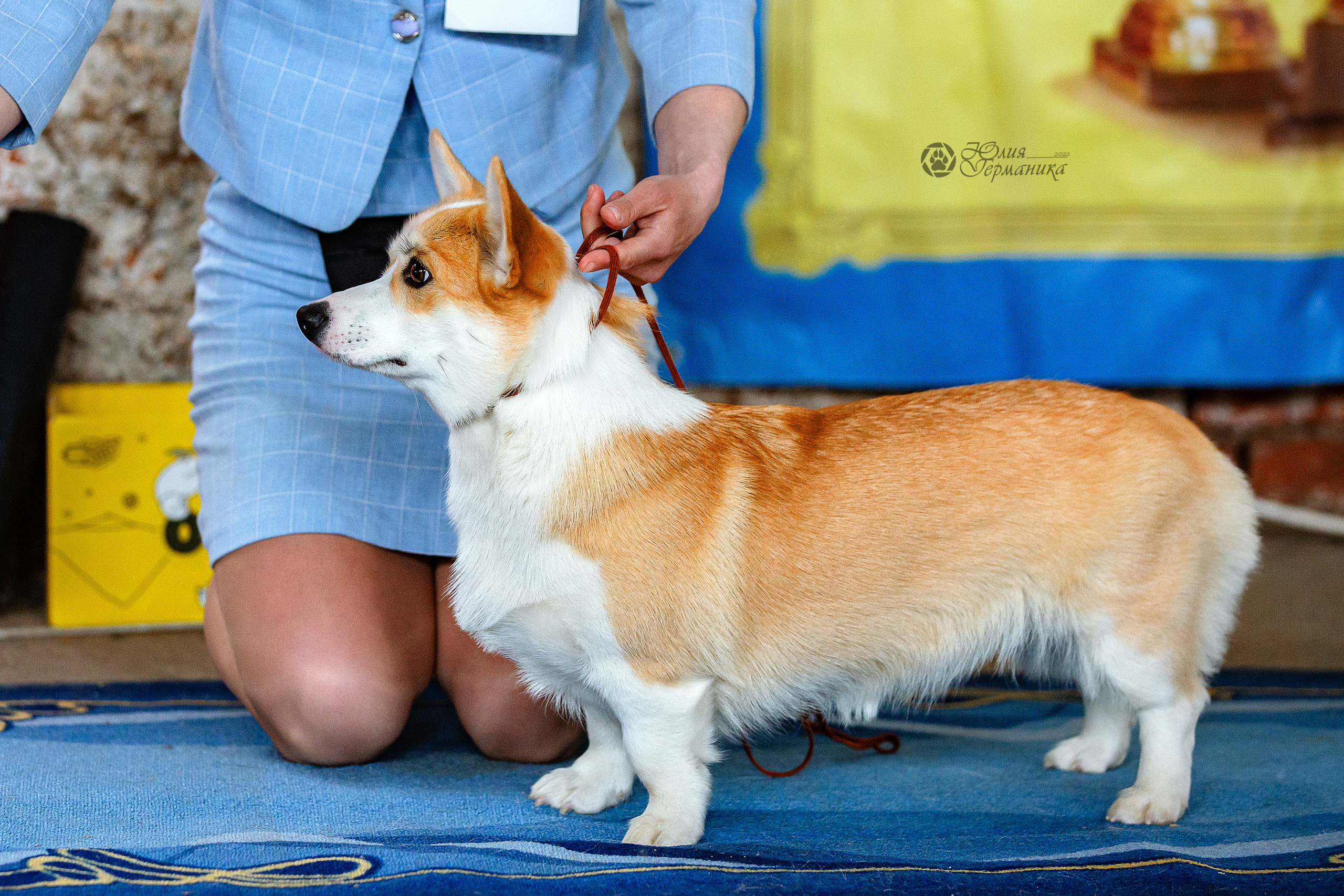Сергиев Посад 23.04.2022. Фотограф-анималист Юлия Германика