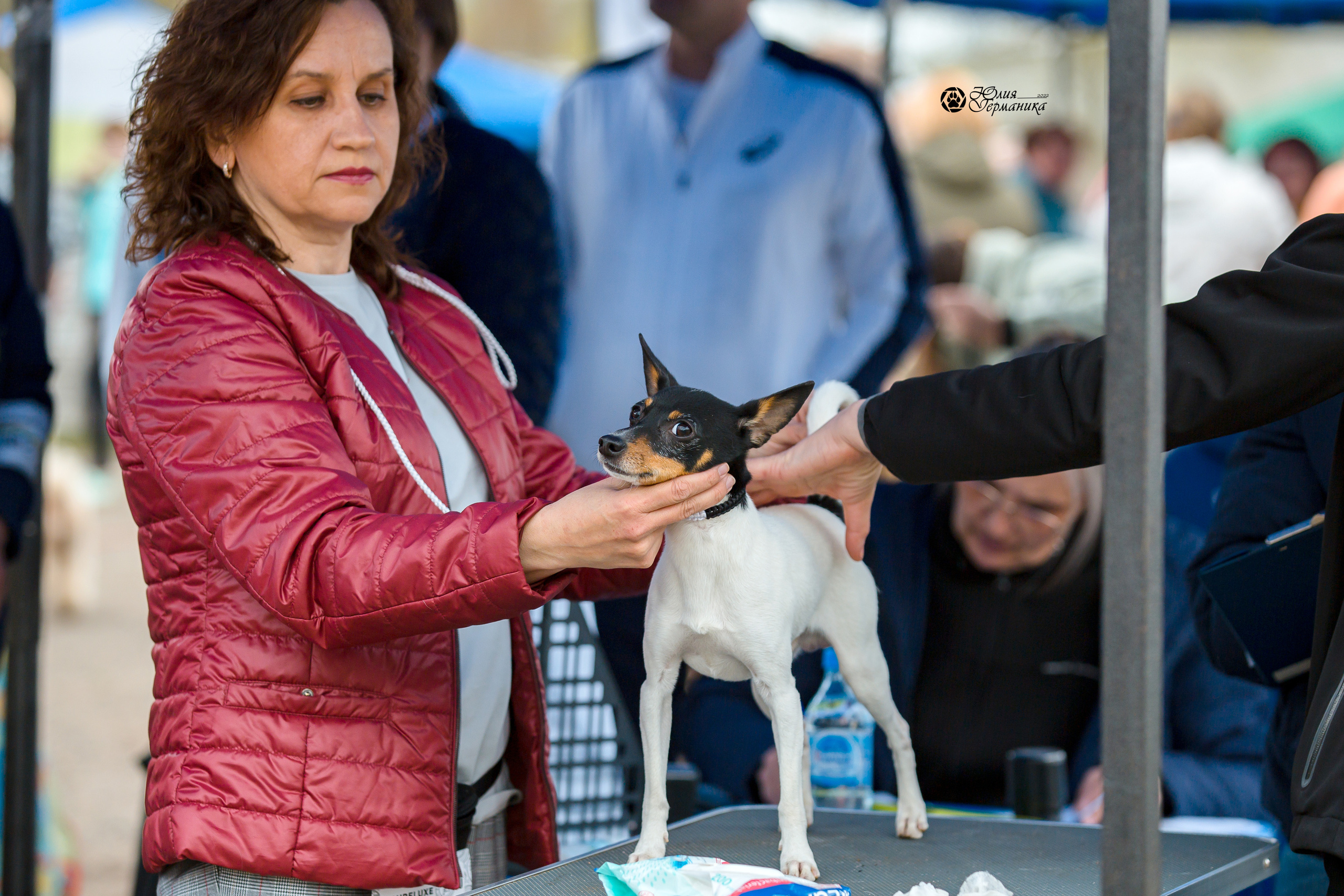 Александров 2хСАС 8 мая 2022. Фотограф-анималист Юлия Германика