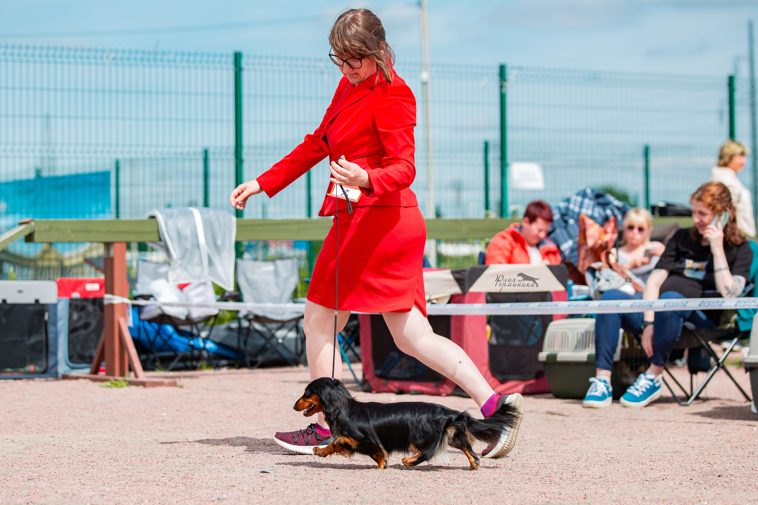 Смоленск 12.06,   Ховрино 13.06,    Питер 18.06 2022. Фотограф-анималист Юлия Германика