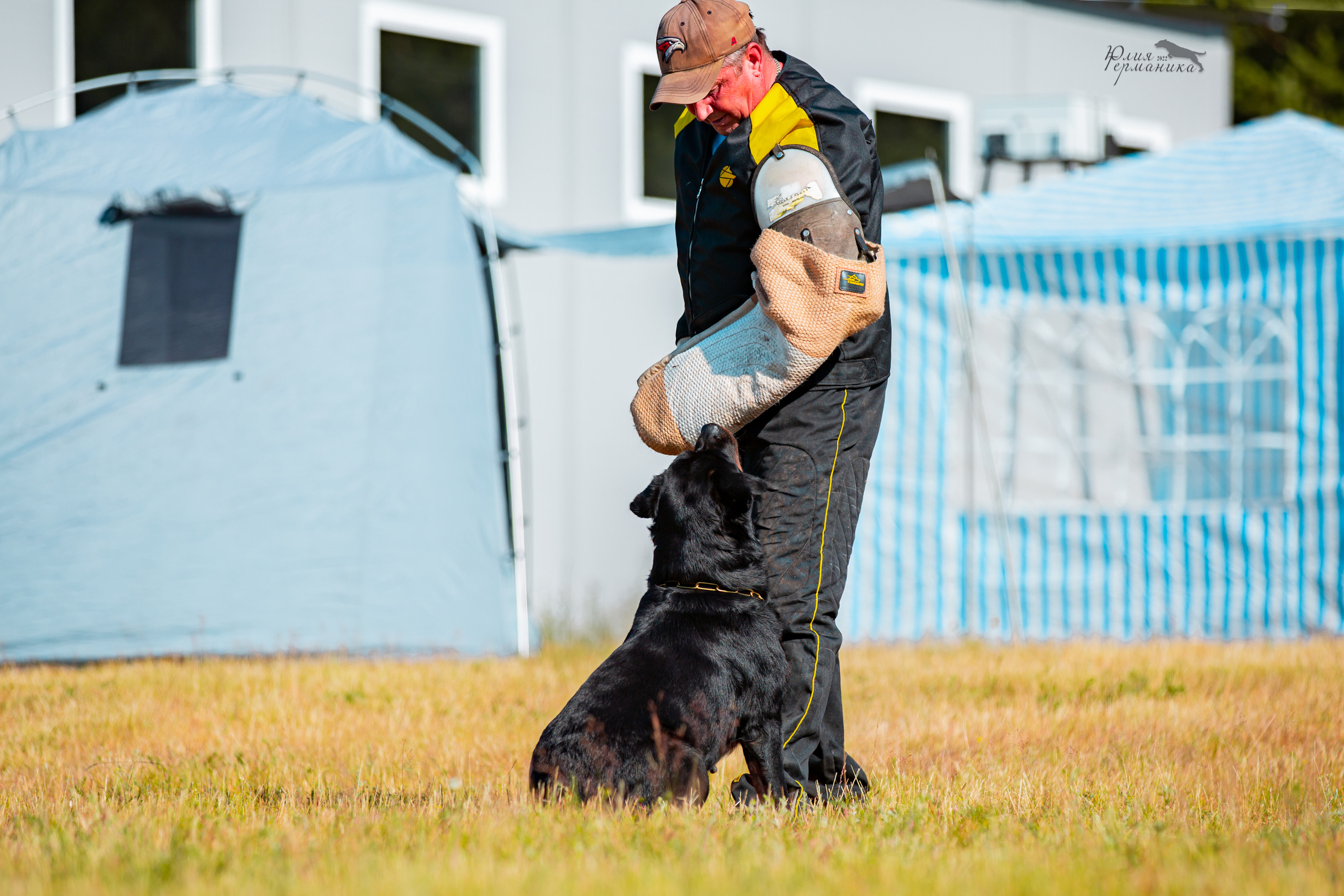 Тверь моно ротвейлеров 2-3.07.2022. Фотограф-анималист Юлия Германика