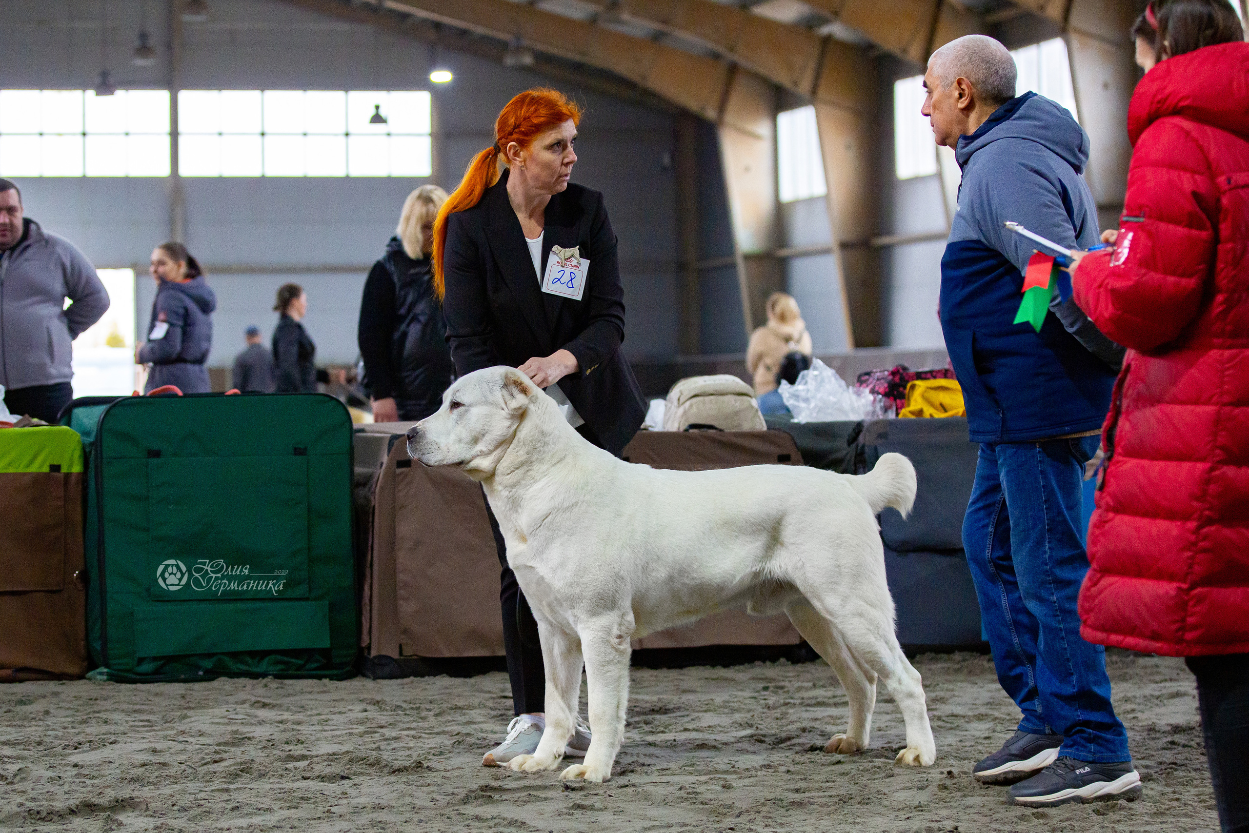 Националка САО+КЧК 24 апреля 2022. Фотограф-анималист Юлия Германика