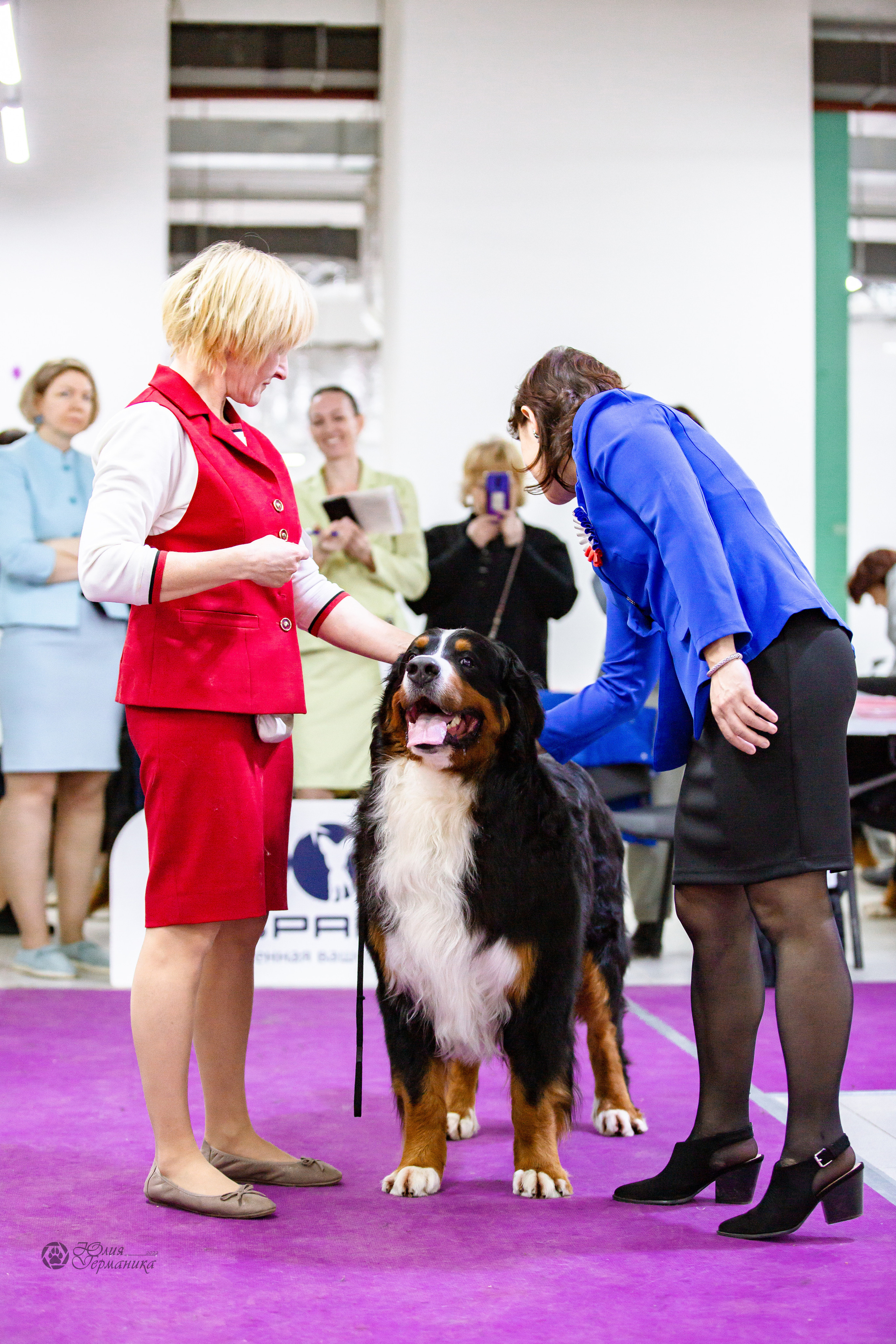 Чайна-Таун 16-17 апреля 2022. Фотограф-анималист Юлия Германика