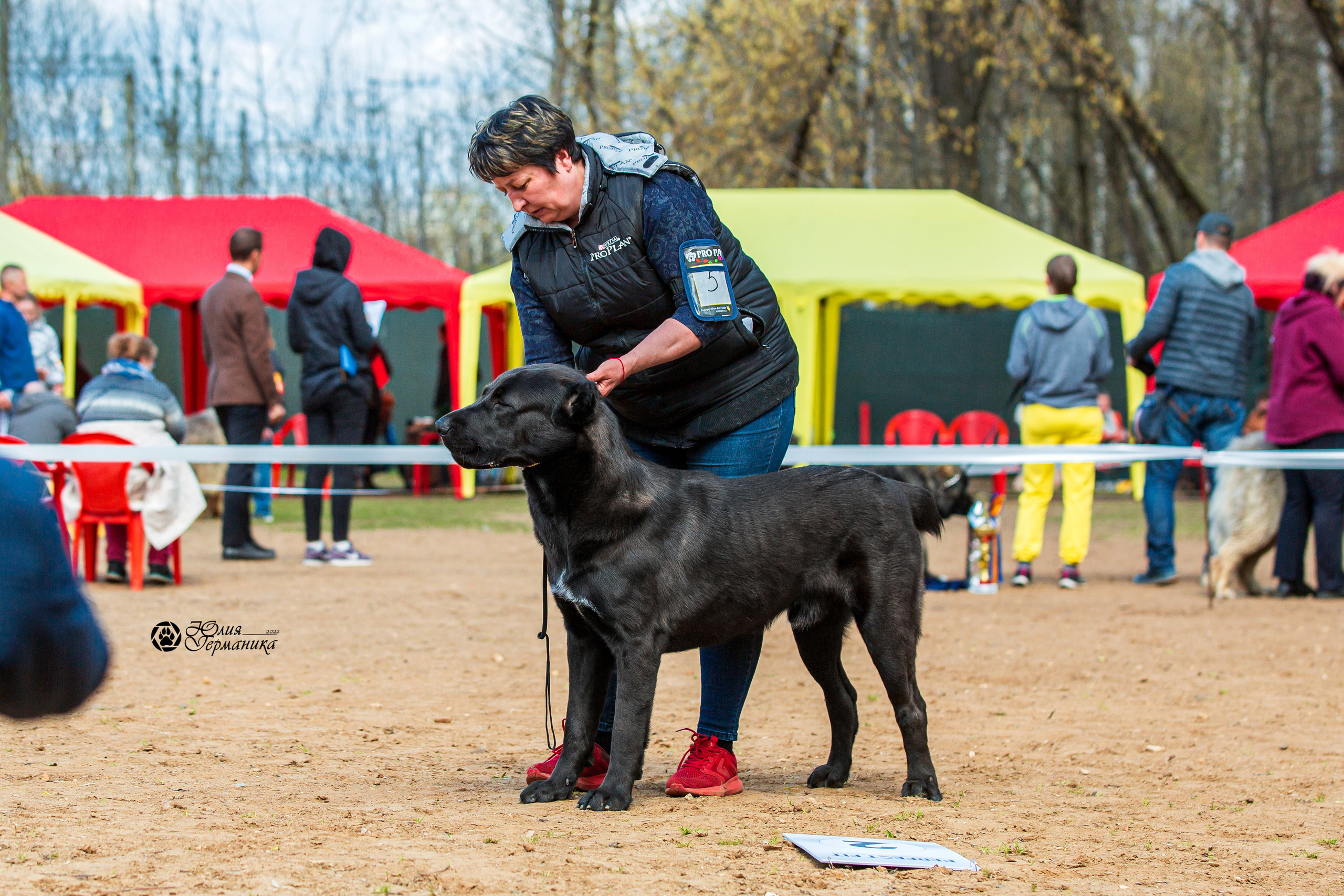 Сокольники 1 мая 2022. Фотограф-анималист Юлия Германика