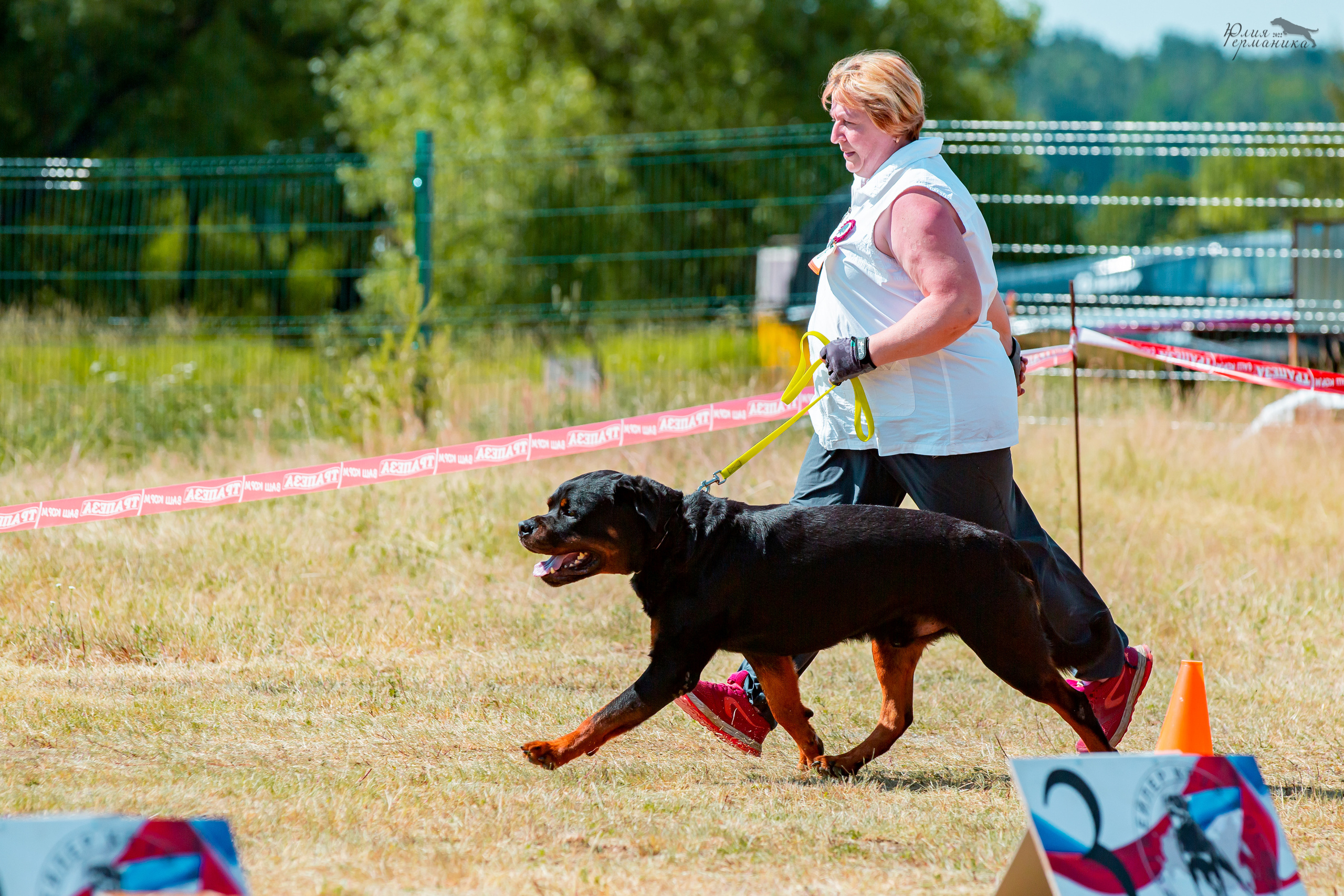 Тверь моно ротвейлеров 2-3.07.2022. Фотограф-анималист Юлия Германика