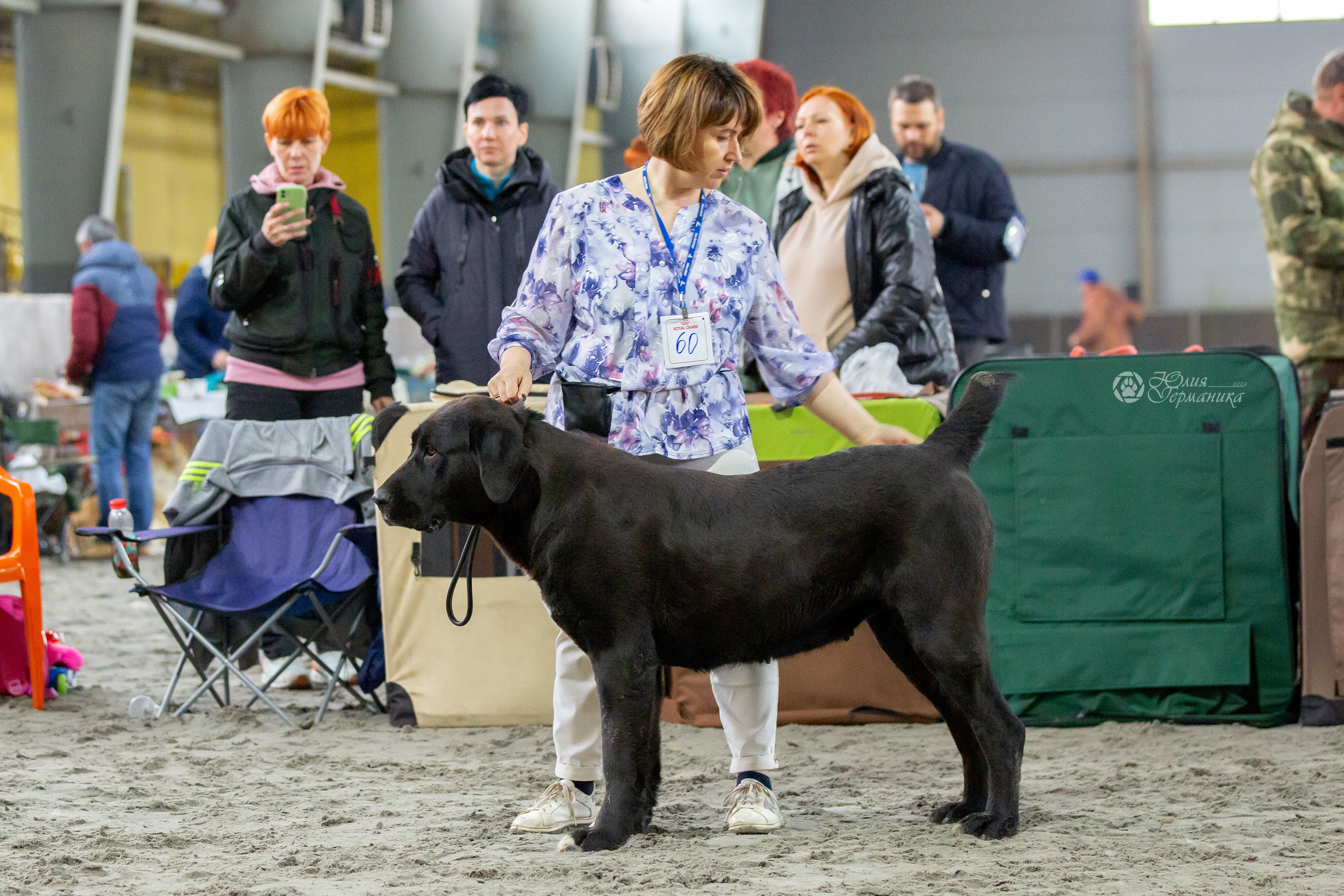 Националка САО+КЧК 24 апреля 2022. Фотограф-анималист Юлия Германика