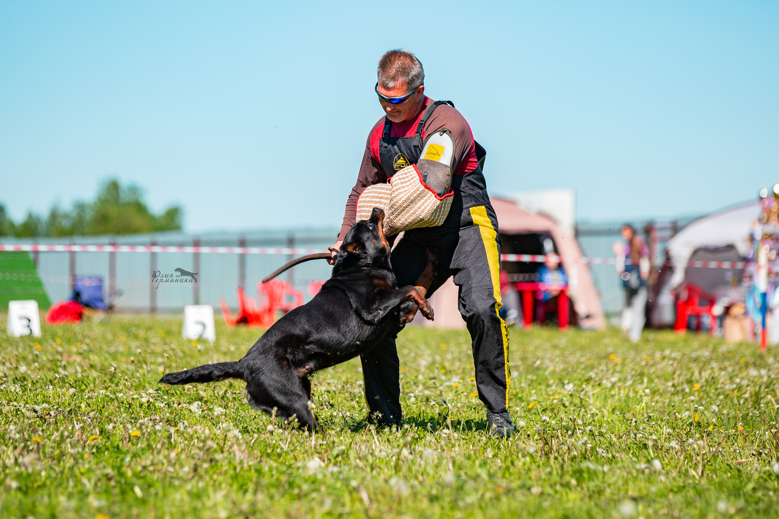 Нижний Новгород моно ротвейлеров 4 июня 2022. Фотограф-анималист Юлия Германика