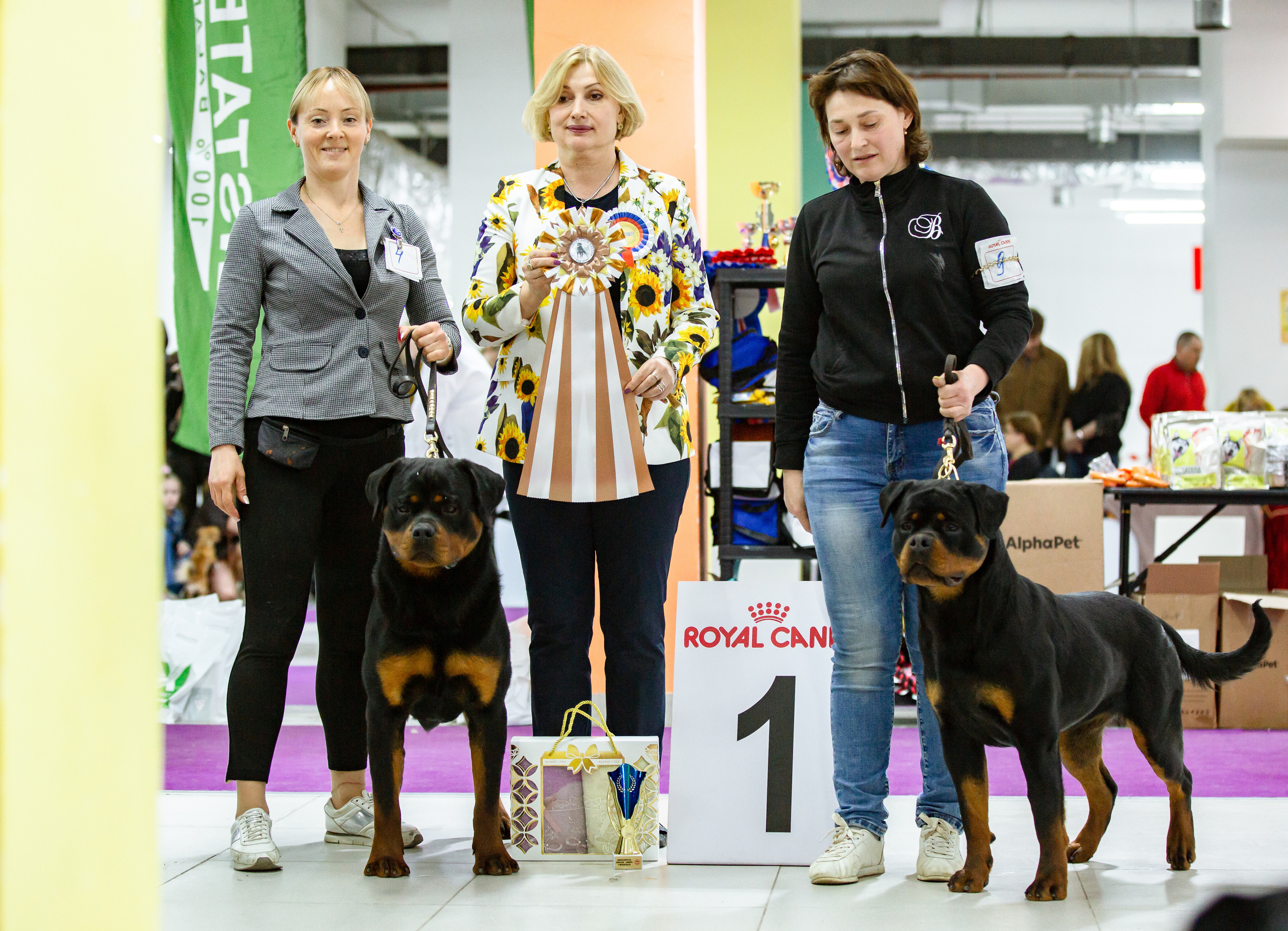 Чайна-Таун 16-17 апреля 2022. Фотограф-анималист Юлия Германика