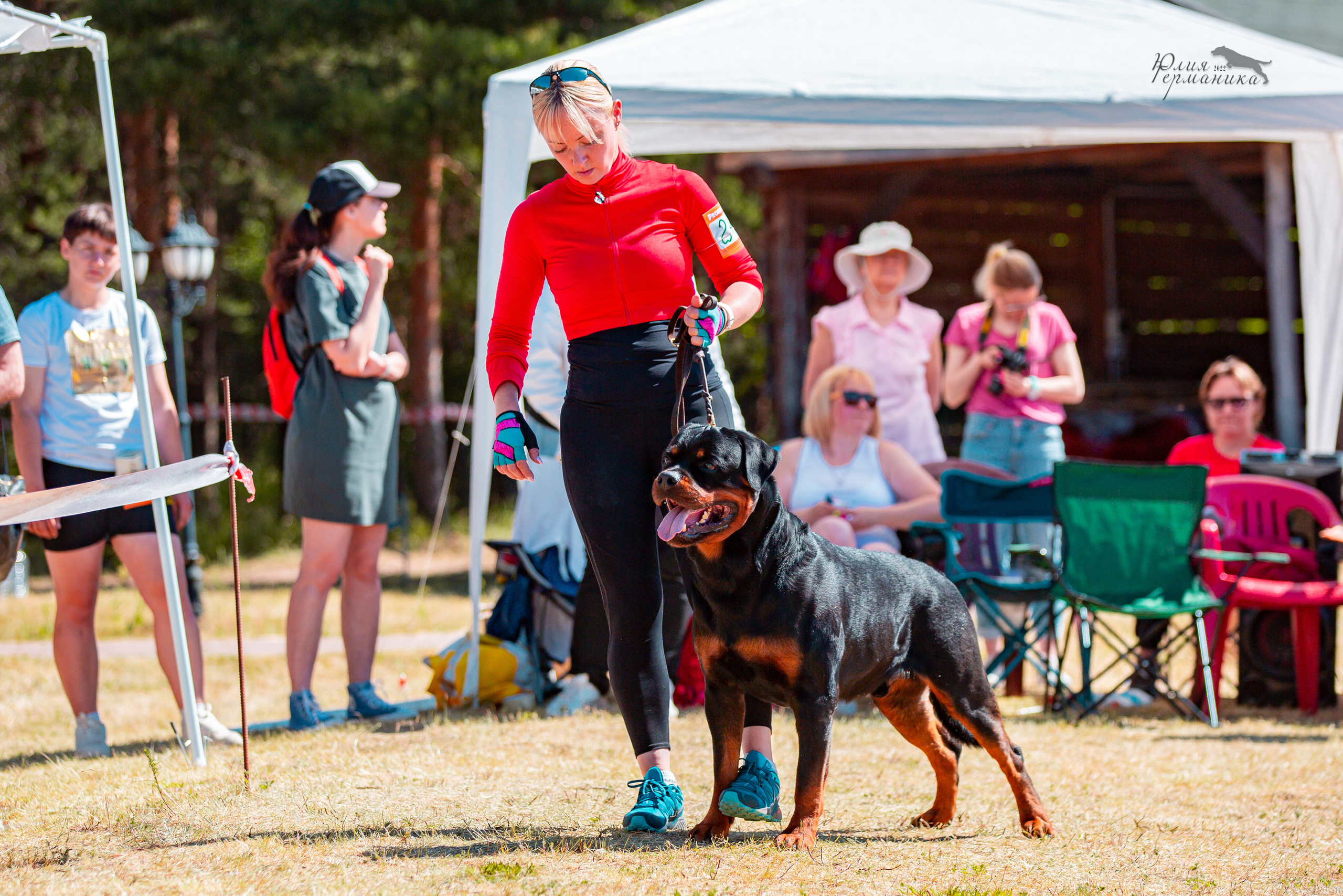 Тверь моно ротвейлеров 2-3.07.2022. Фотограф-анималист Юлия Германика