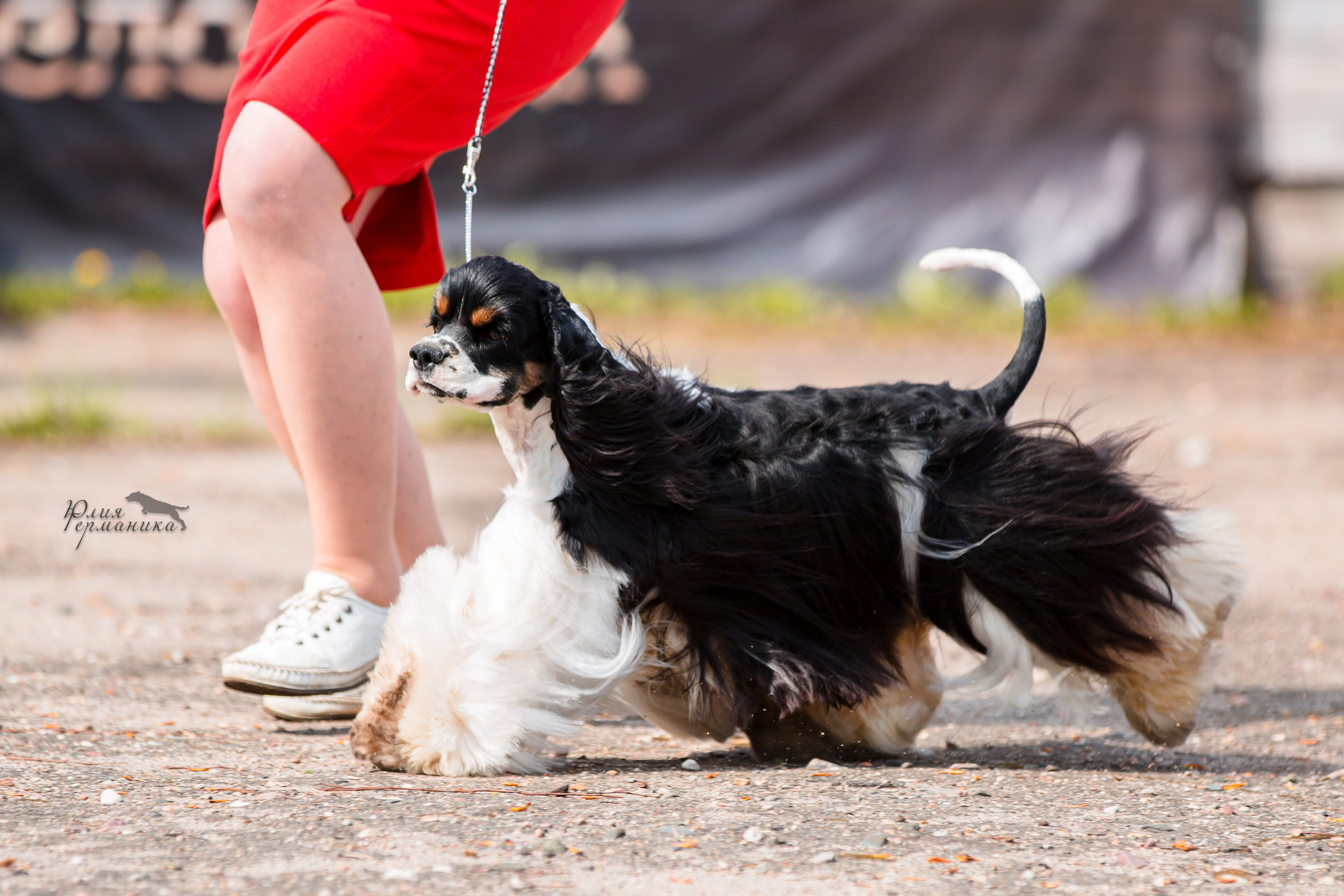Александров 2хСАС 8 мая 2022. Фотограф-анималист Юлия Германика