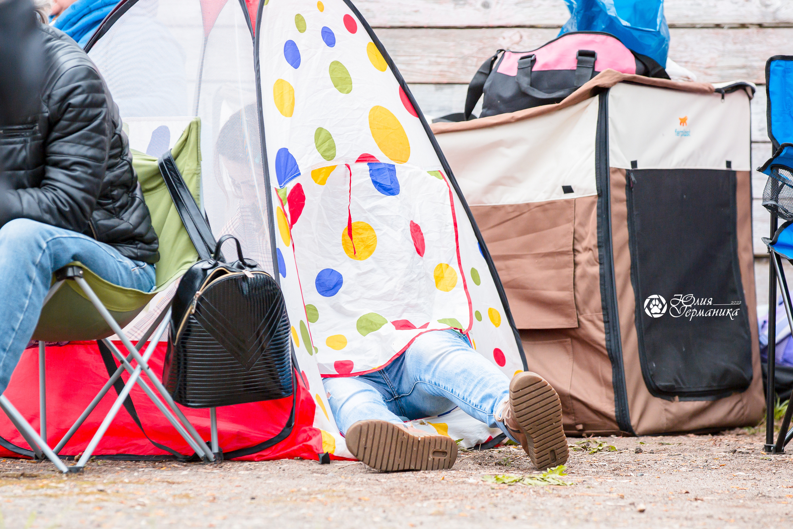 Александров 2хСАС 8 мая 2022. Фотограф-анималист Юлия Германика