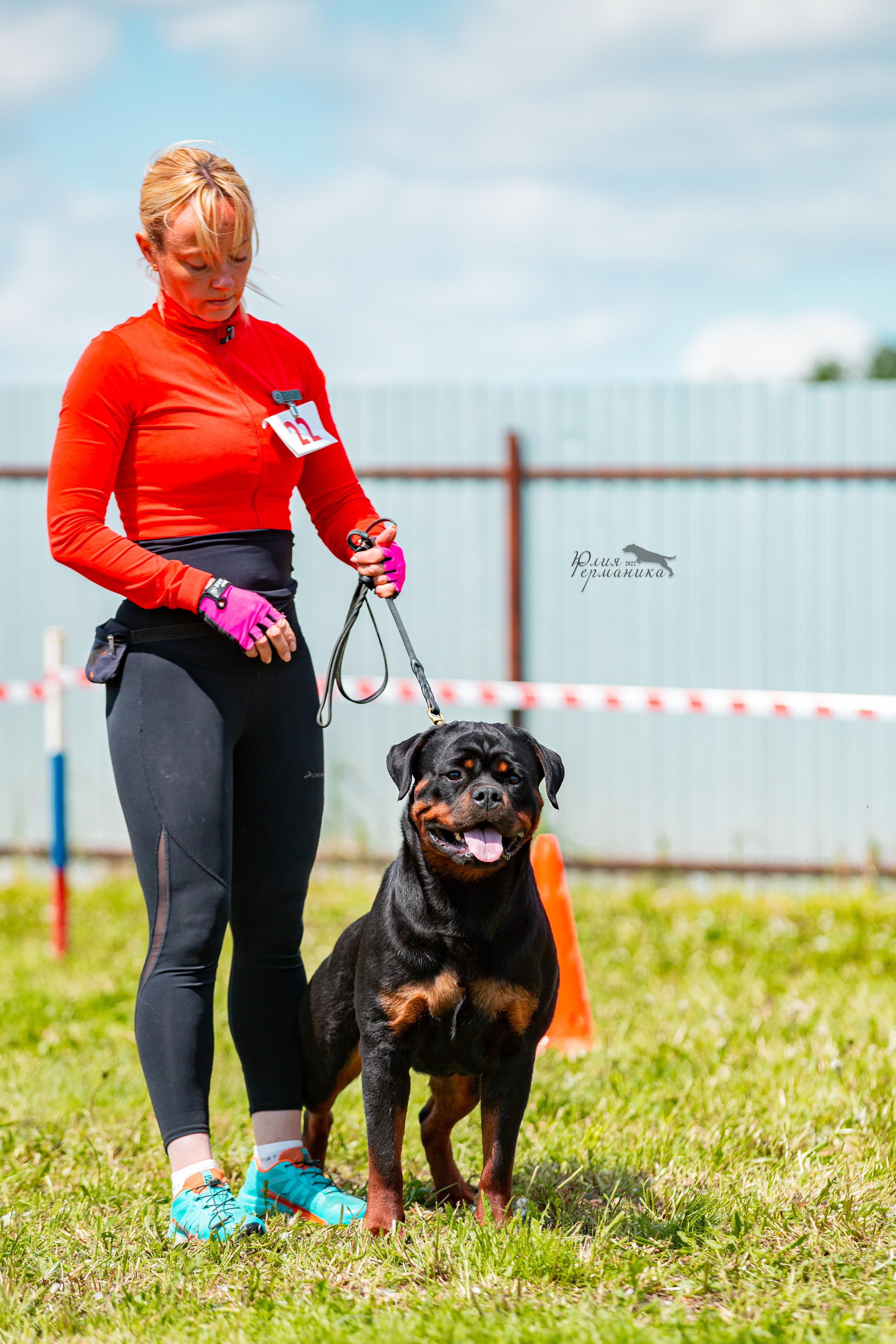 Нижний Новгород моно ротвейлеров 4 июня 2022. Фотограф-анималист Юлия Германика