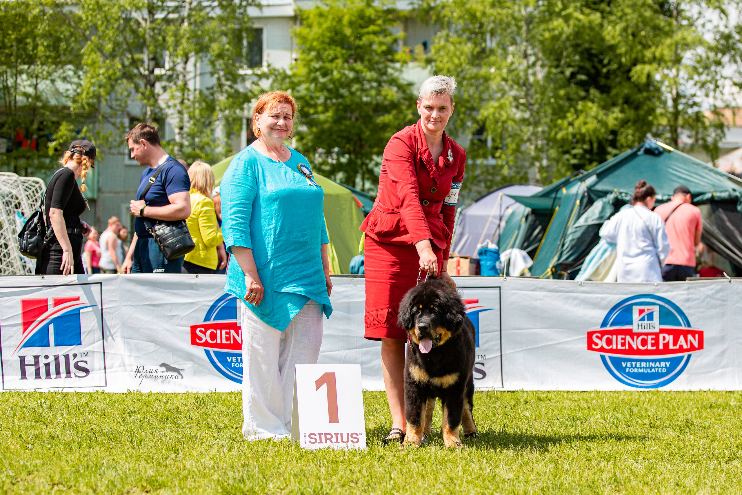 Смоленск 12.06,   Ховрино 13.06,    Питер 18.06 2022. Фотограф-анималист Юлия Германика