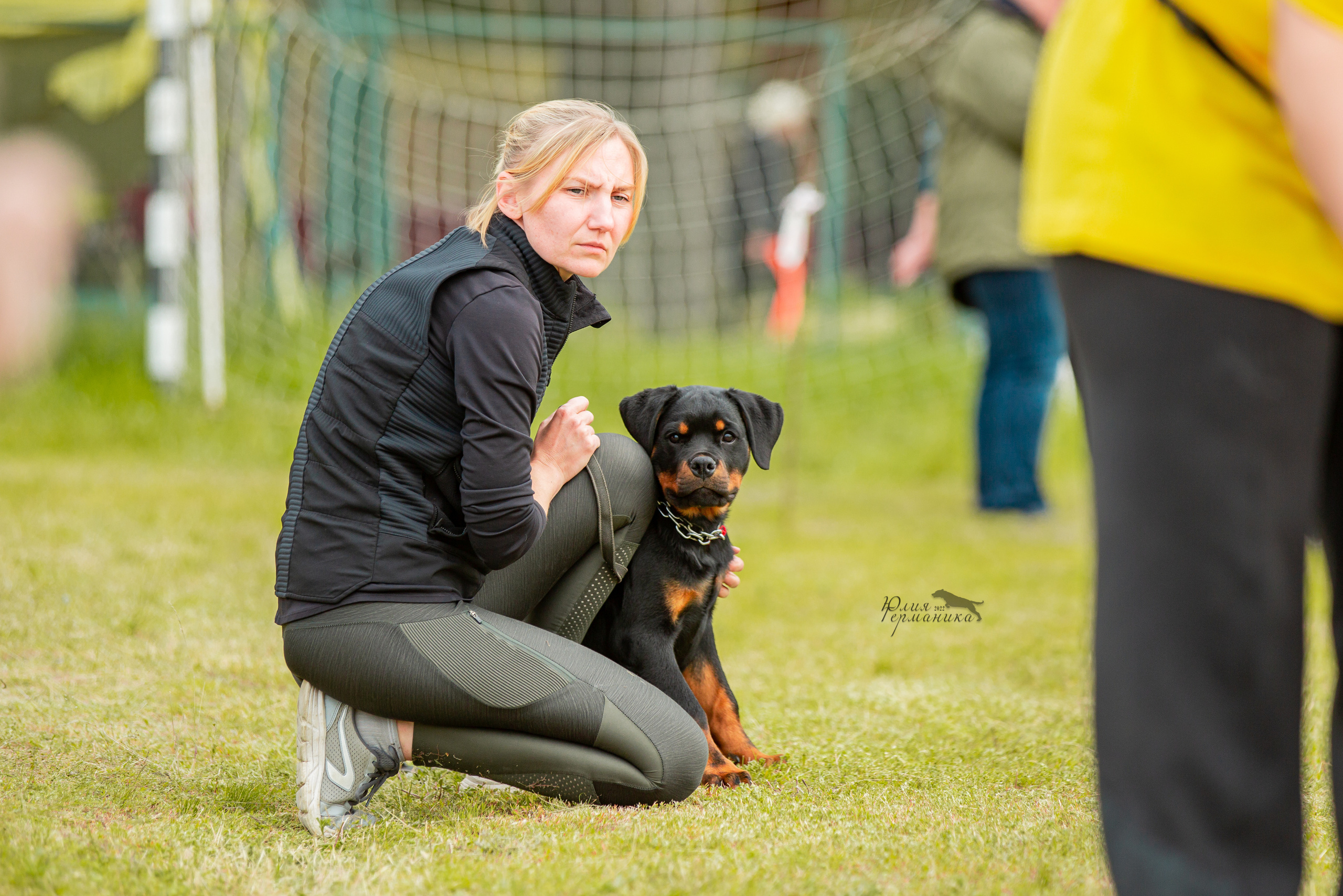 Воронеж моно ротвейлеров 28-29 мая 2022. Фотограф-анималист Юлия Германика