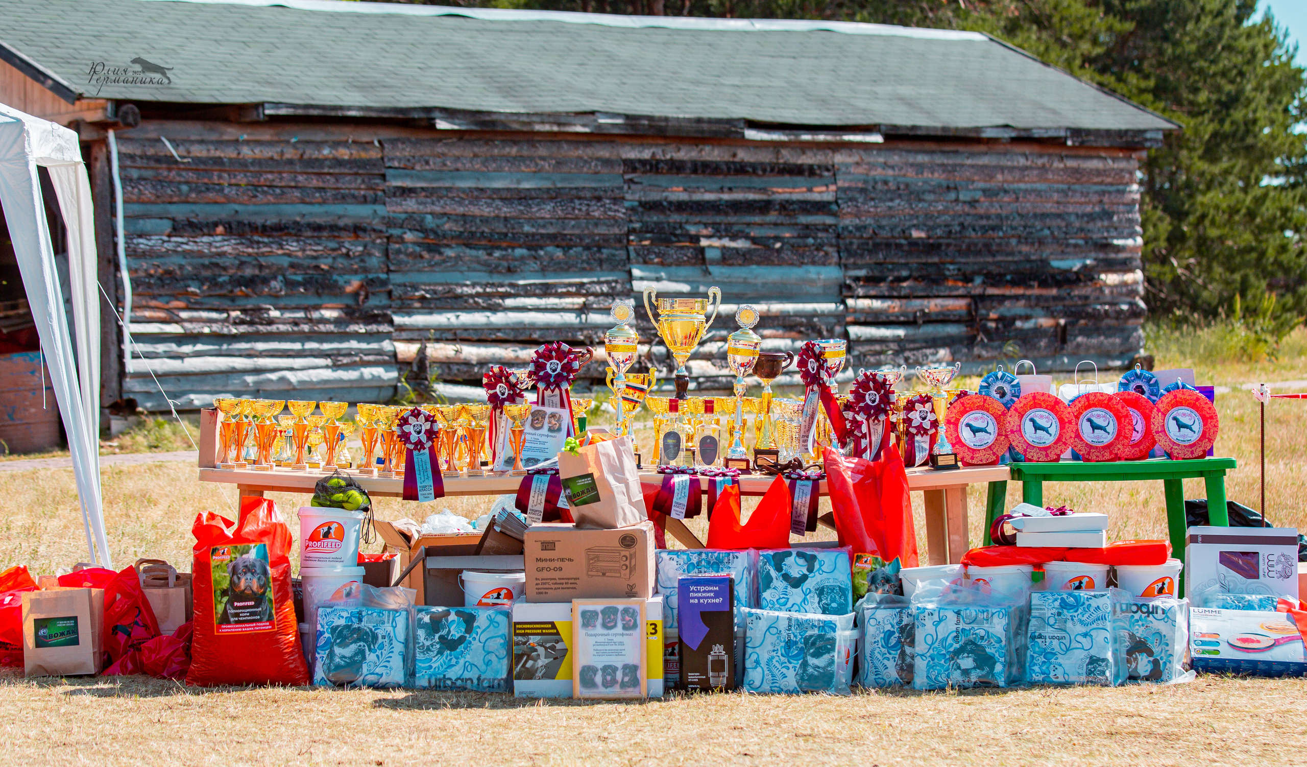 Тверь моно ротвейлеров 2-3.07.2022. Фотограф-анималист Юлия Германика