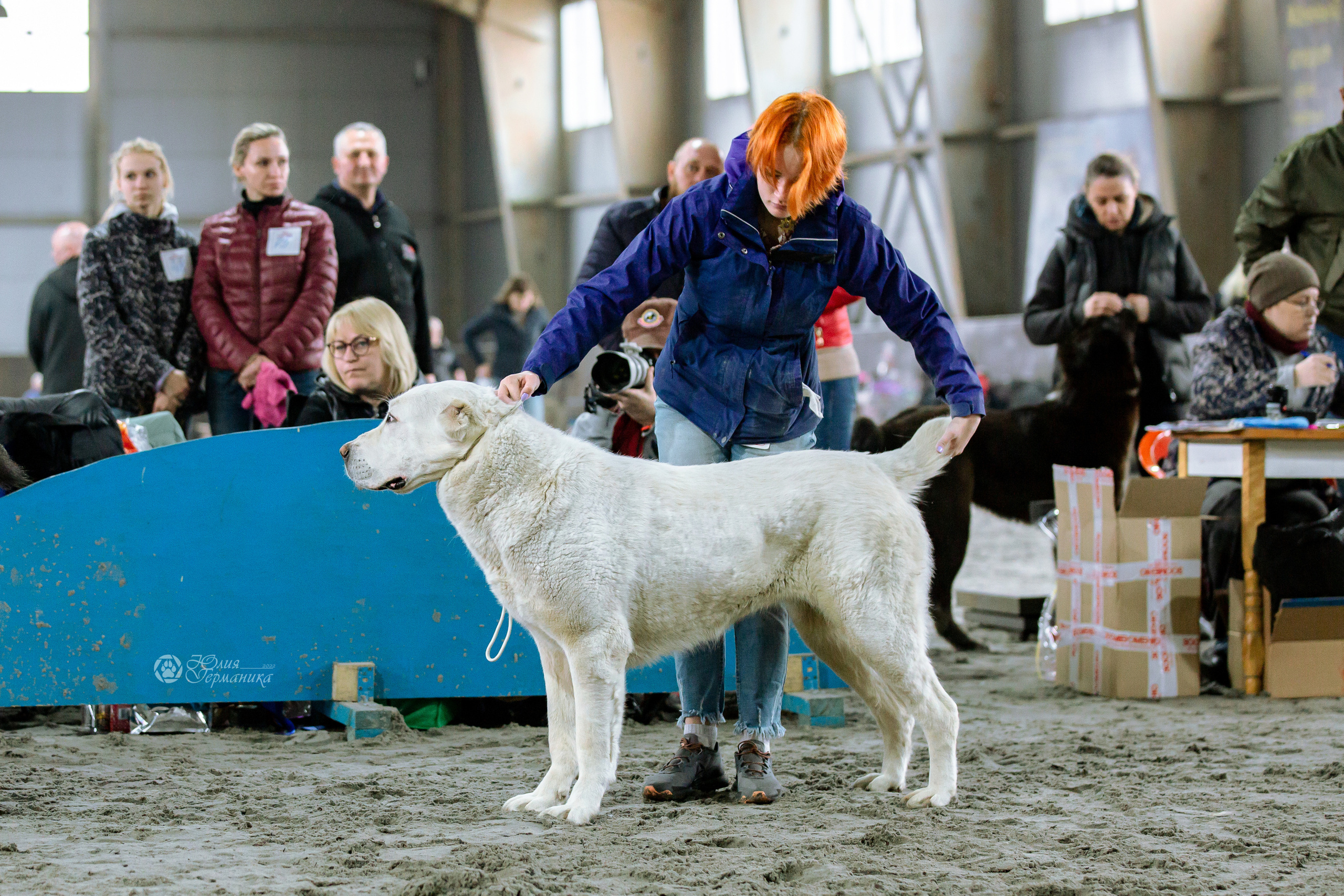 Националка САО+КЧК 24 апреля 2022. Фотограф-анималист Юлия Германика