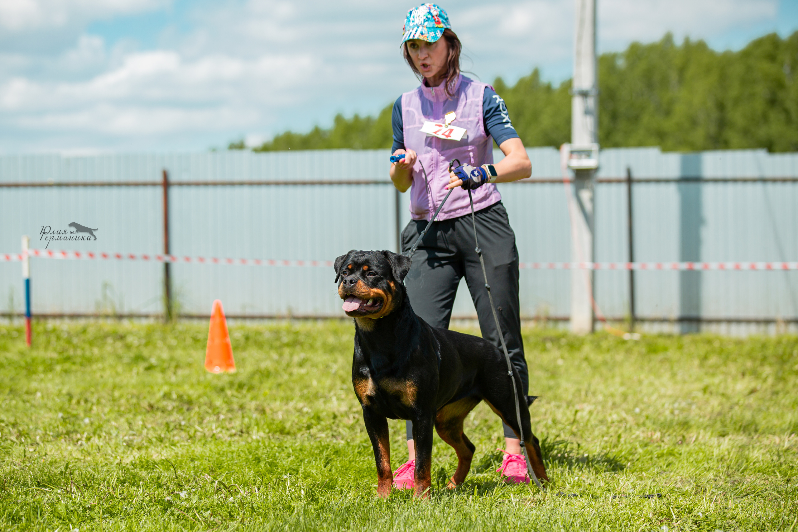 Нижний Новгород моно ротвейлеров 4 июня 2022. Фотограф-анималист Юлия Германика