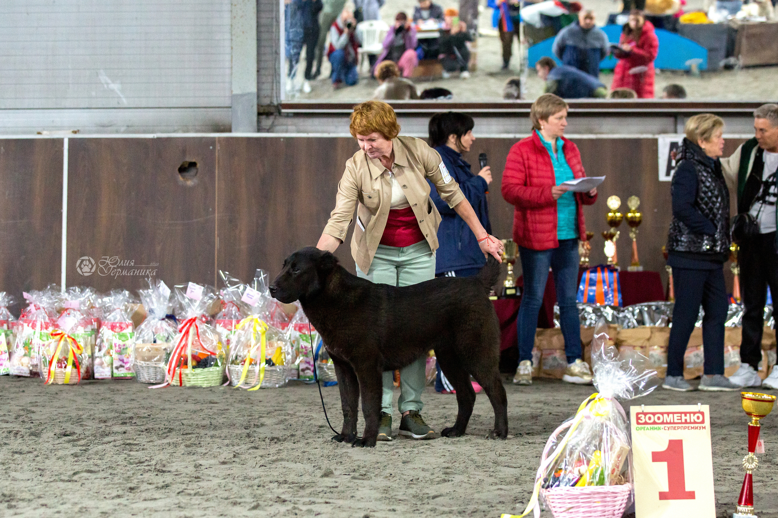 Националка САО+КЧК 24 апреля 2022. Фотограф-анималист Юлия Германика