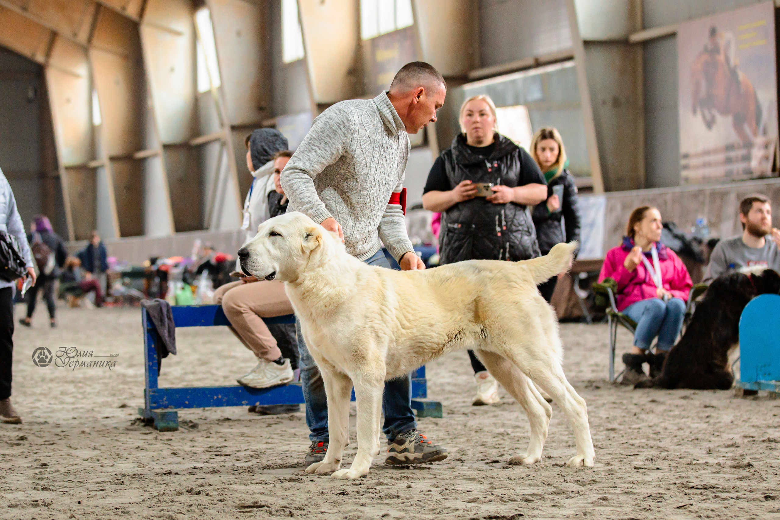 Националка САО+КЧК 24 апреля 2022. Фотограф-анималист Юлия Германика