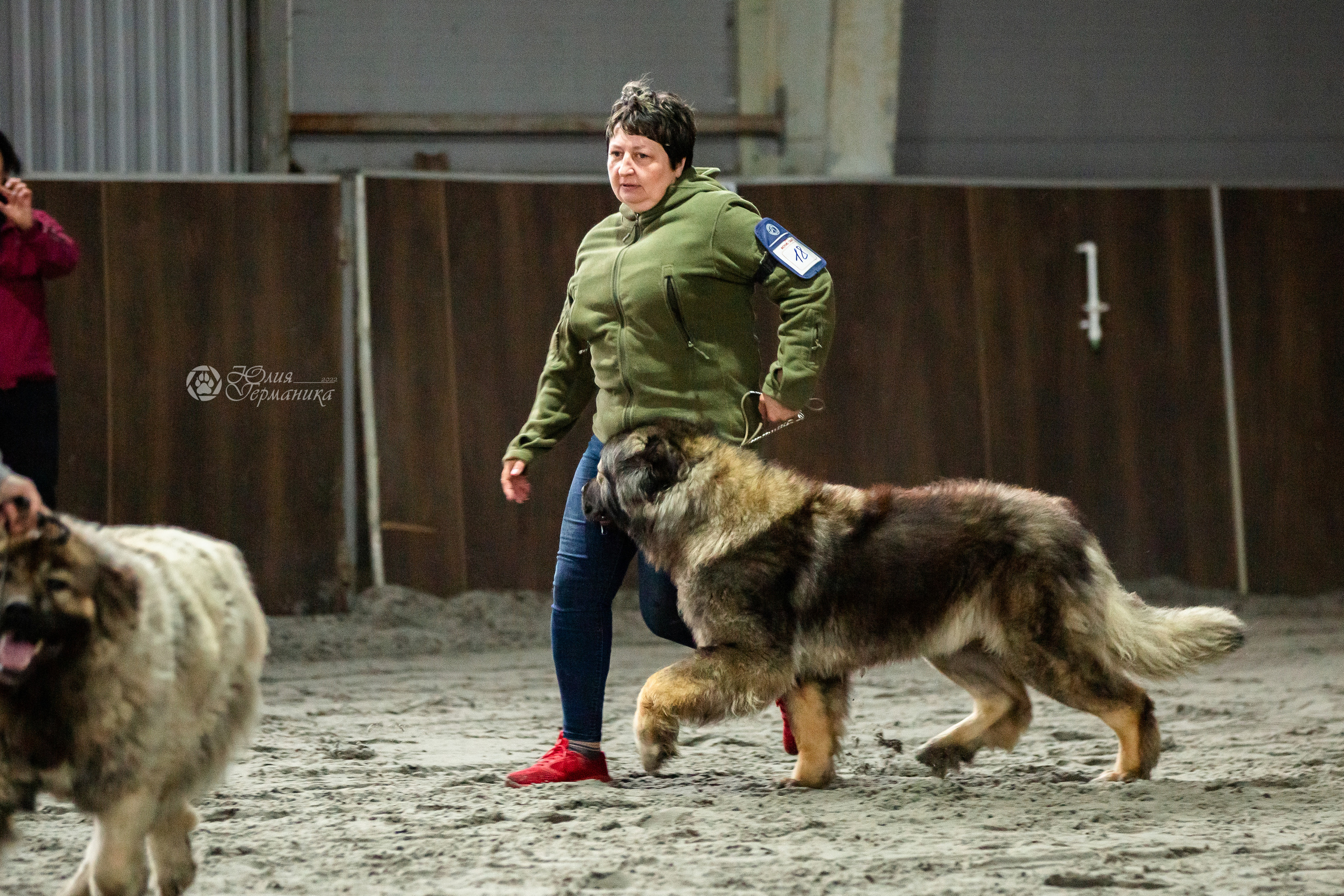 Националка САО+КЧК 24 апреля 2022. Фотограф-анималист Юлия Германика