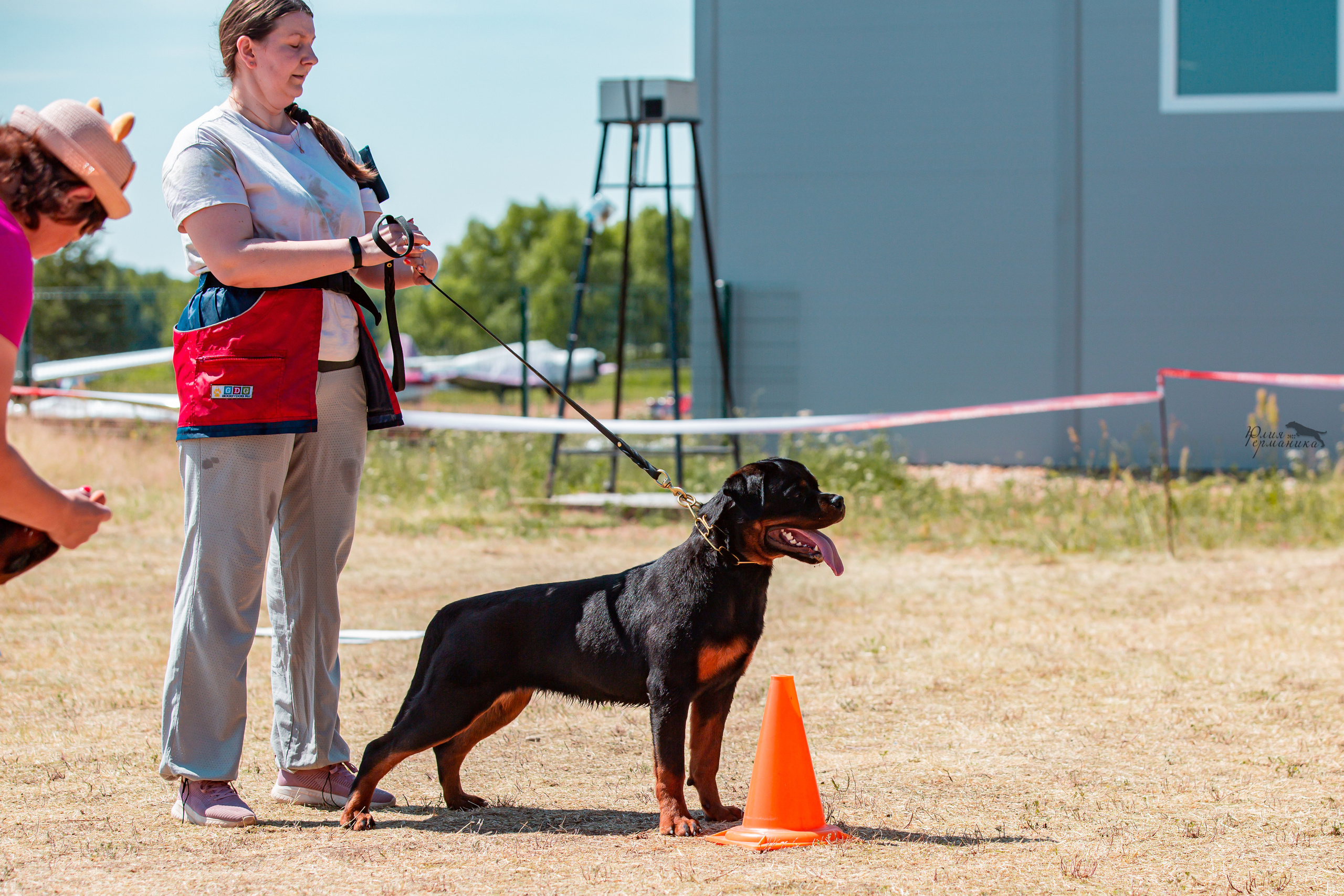 Тверь моно ротвейлеров 2-3.07.2022. Фотограф-анималист Юлия Германика