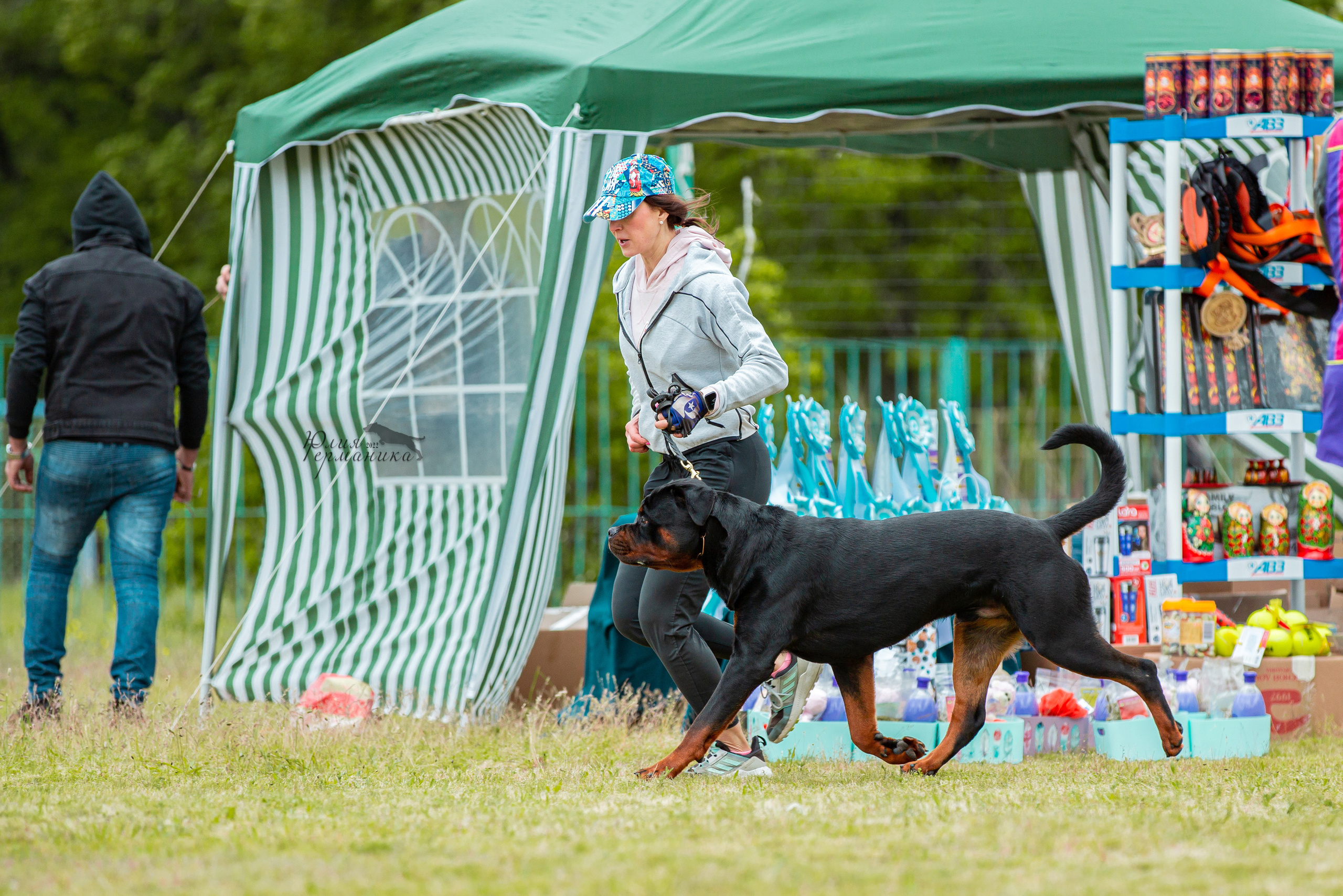Воронеж моно ротвейлеров 28-29 мая 2022. Фотограф-анималист Юлия Германика